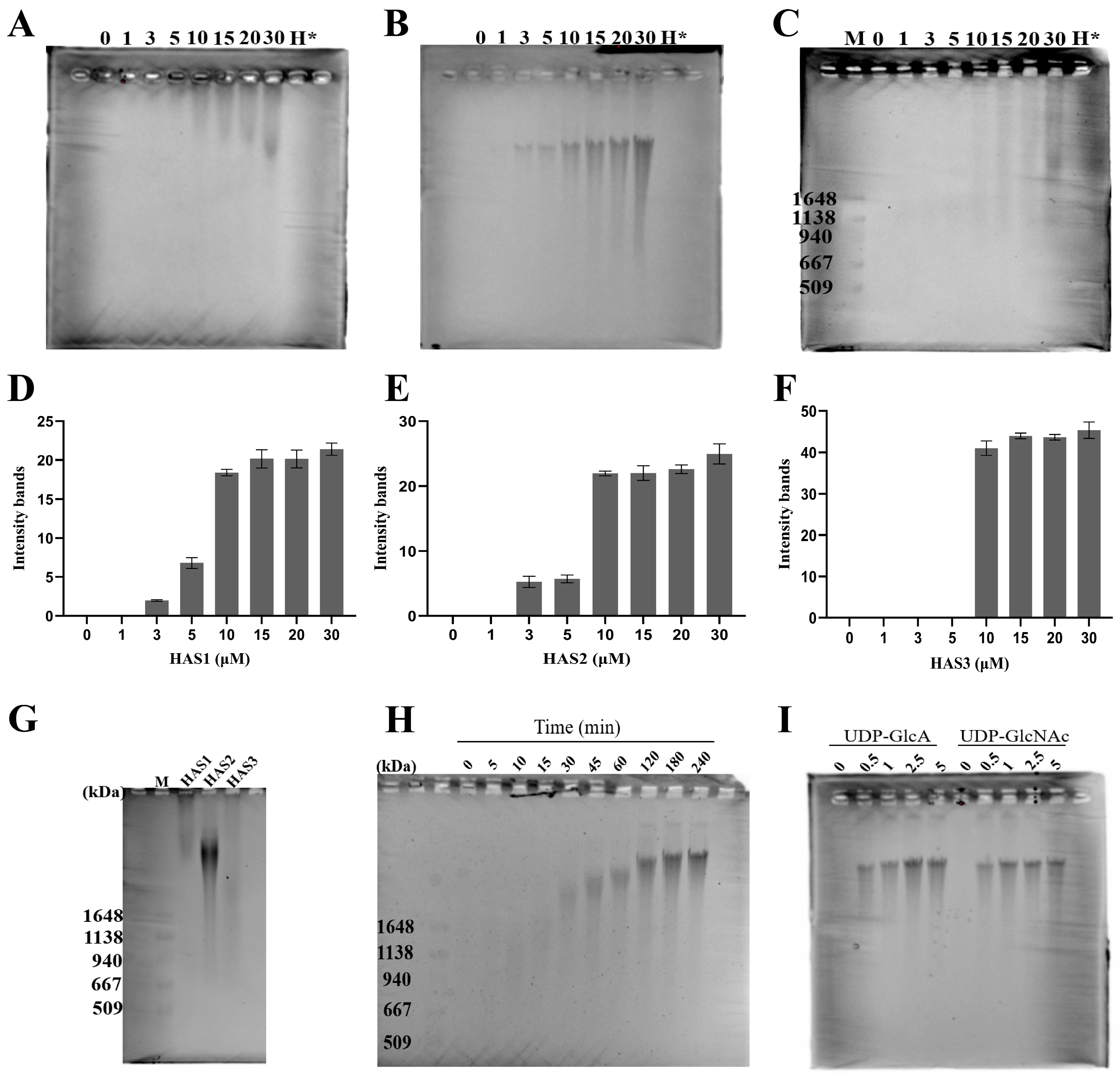 Biomolecules 14 01567 g004