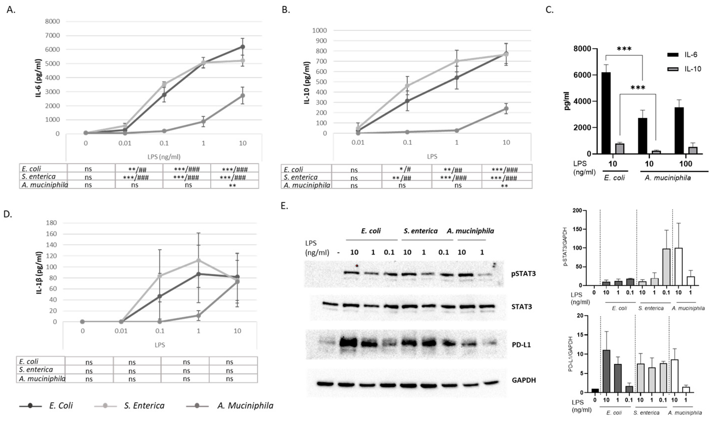 Biomolecules 14 01571 g003 Biomolecules 14 01571 g003