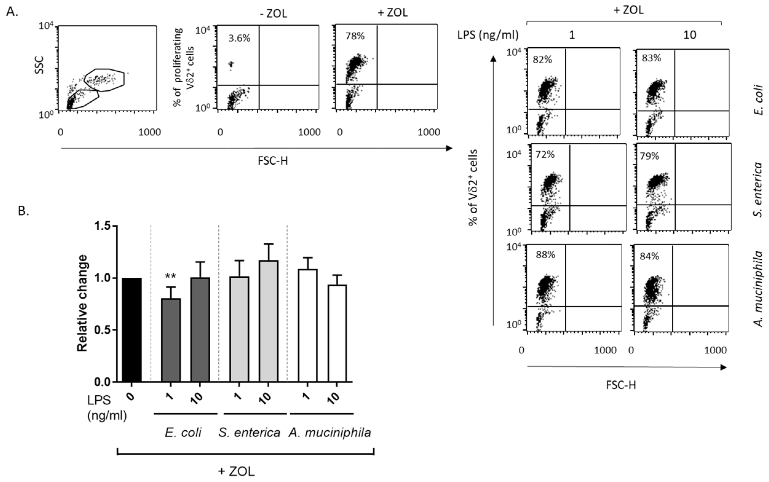 Biomolecules 14 01571 g005 Biomolecules 14 01571 g005