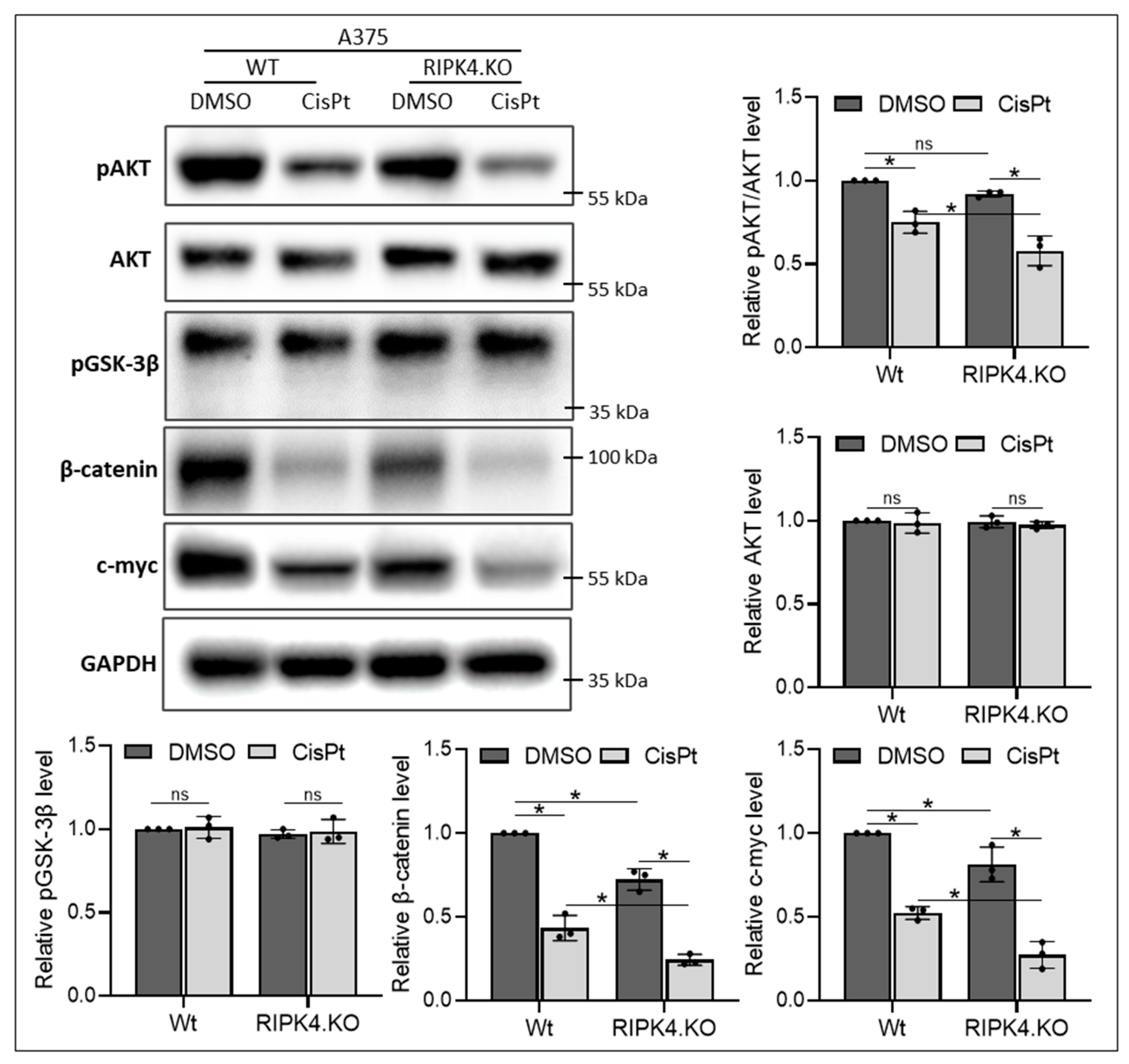 Biomolecules 14 01573 g003