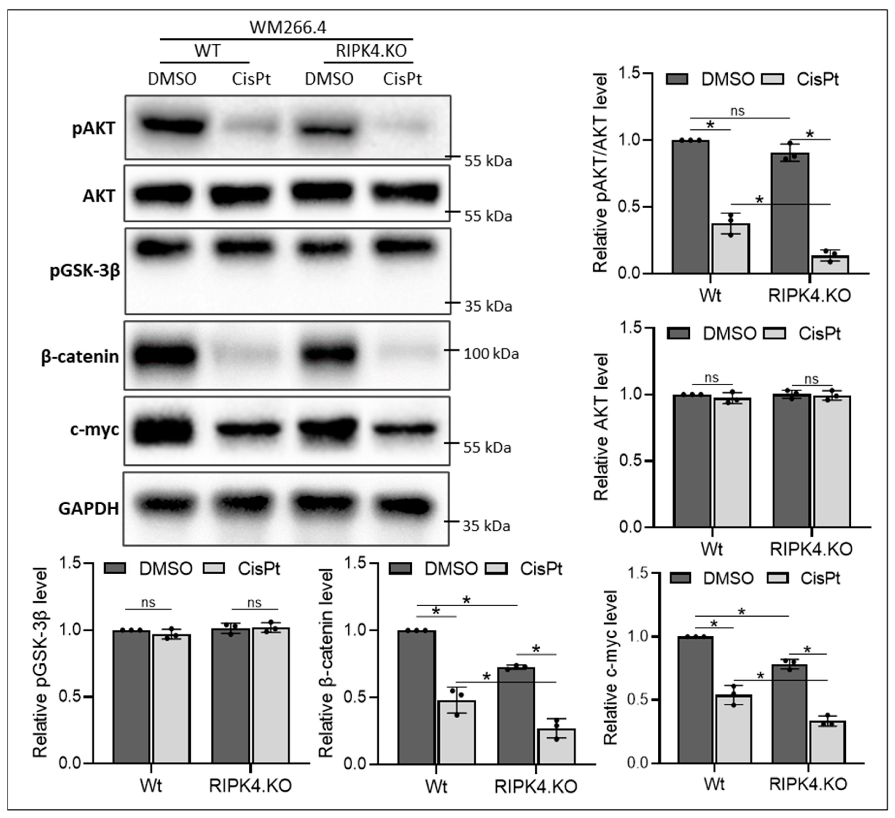 Biomolecules 14 01573 g004
