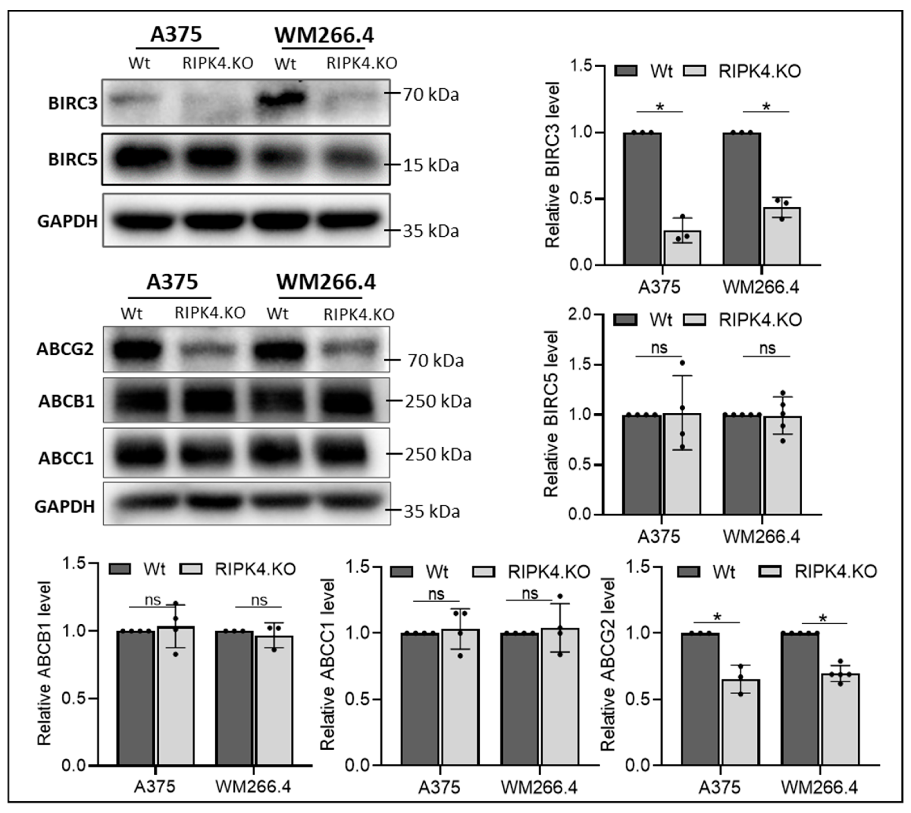 Biomolecules 14 01573 g006