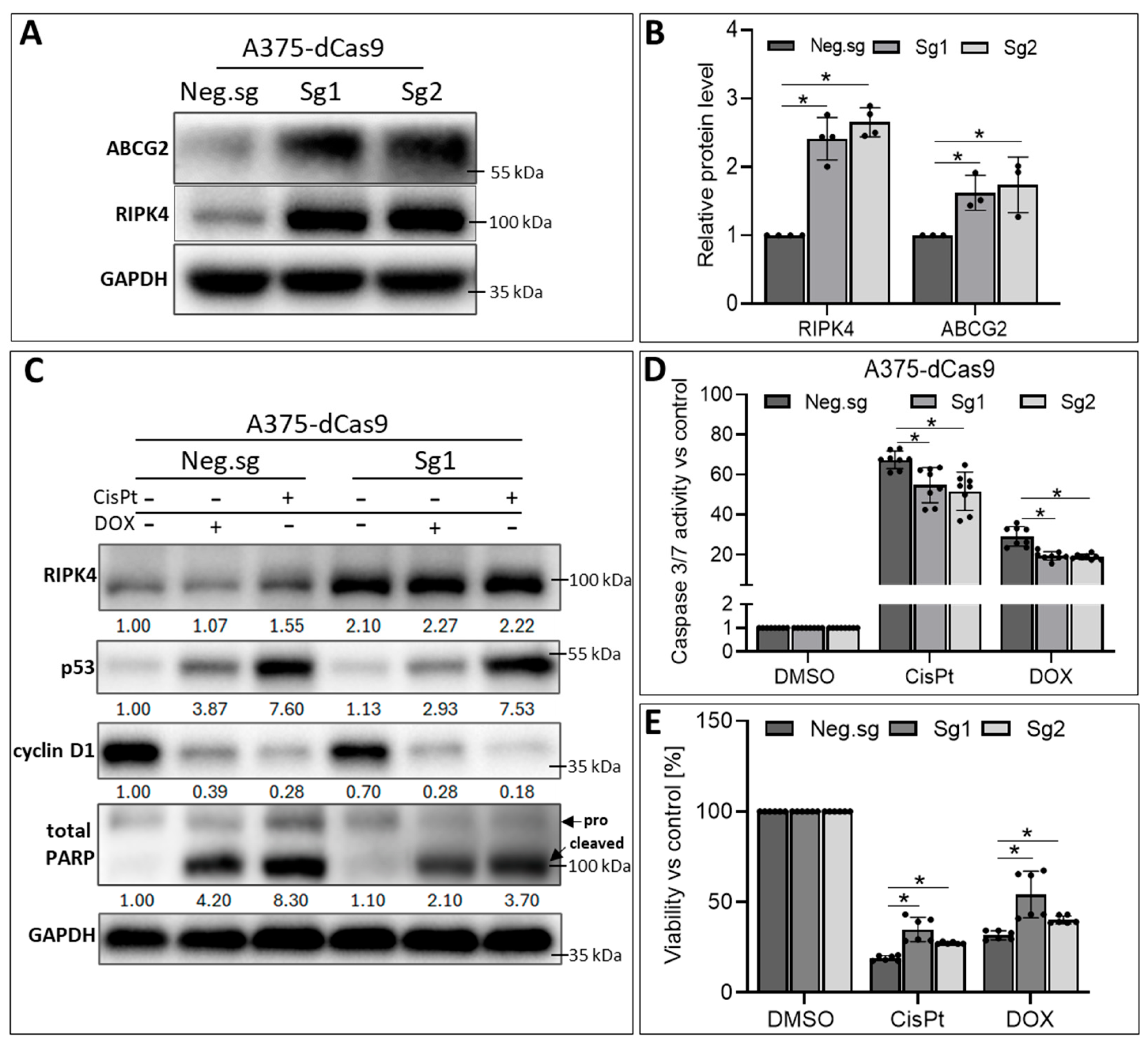 Biomolecules 14 01573 g010