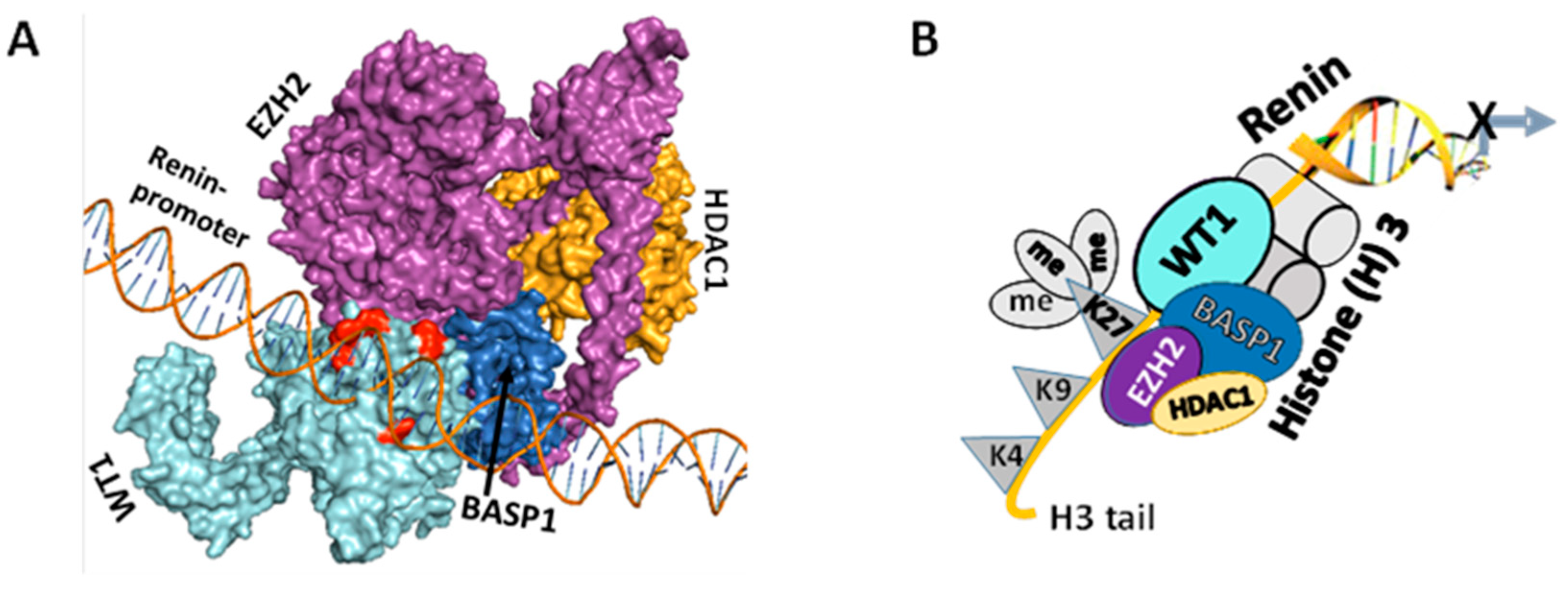 Biomolecules 14 01575 g005