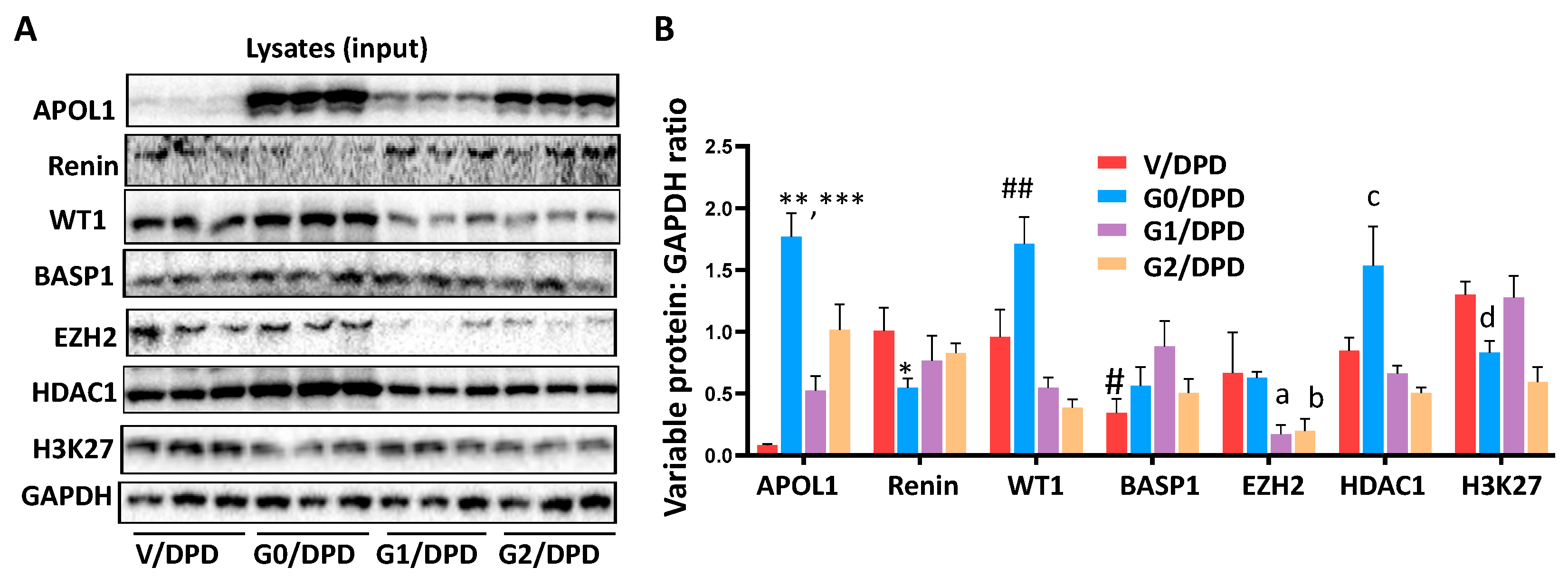 Biomolecules 14 01575 g006