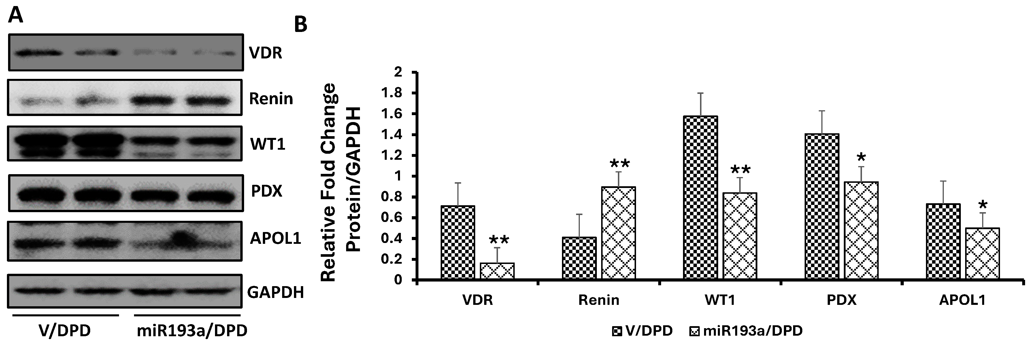 Biomolecules 14 01575 g012