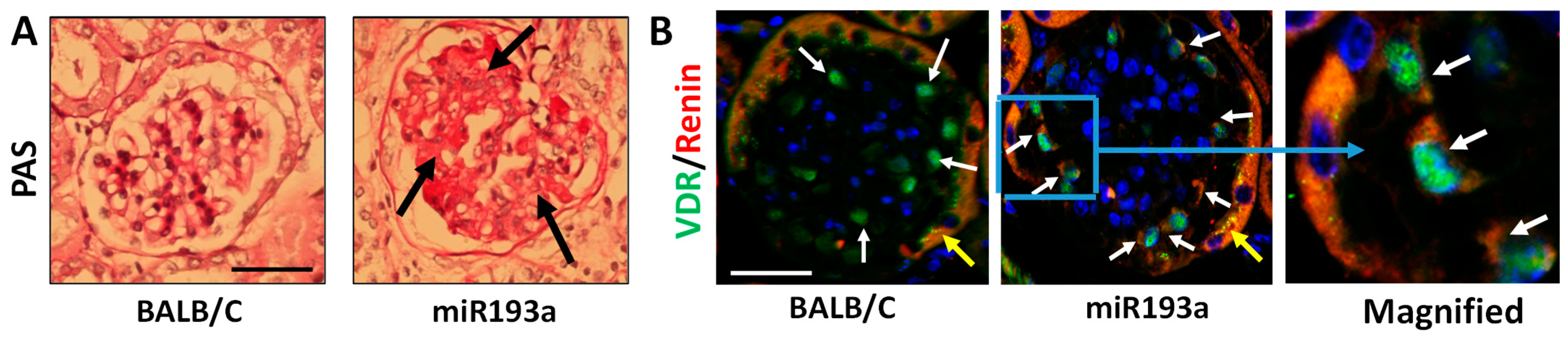 Biomolecules 14 01575 g014