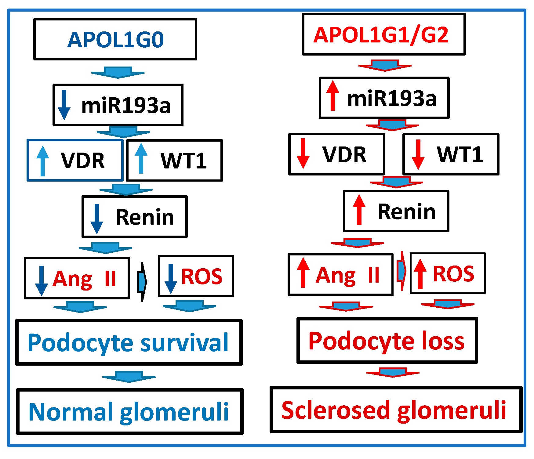 Biomolecules 14 01575 g016