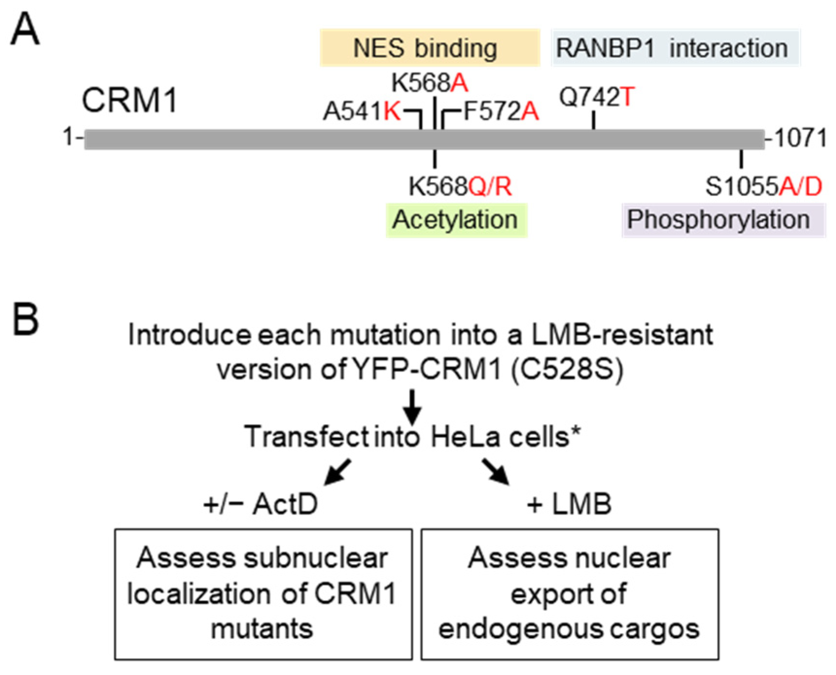 Biomolecules 14 01578 g001