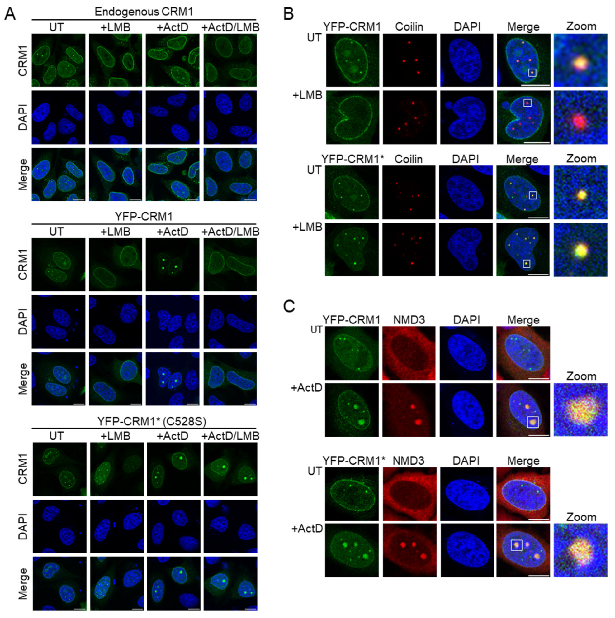 Biomolecules 14 01578 g002