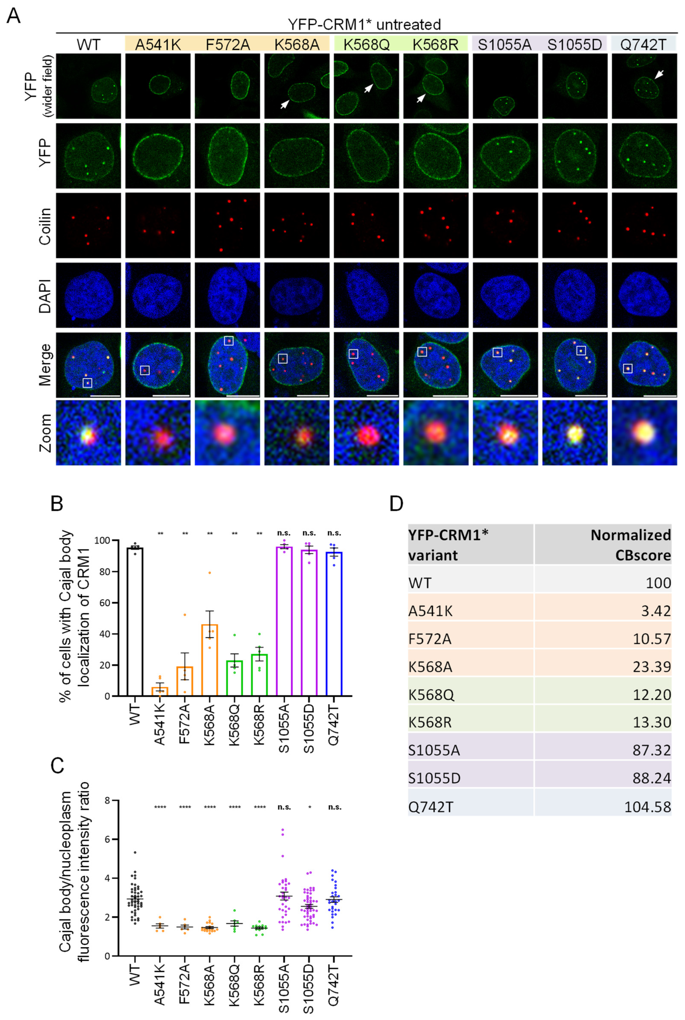 Biomolecules 14 01578 g003