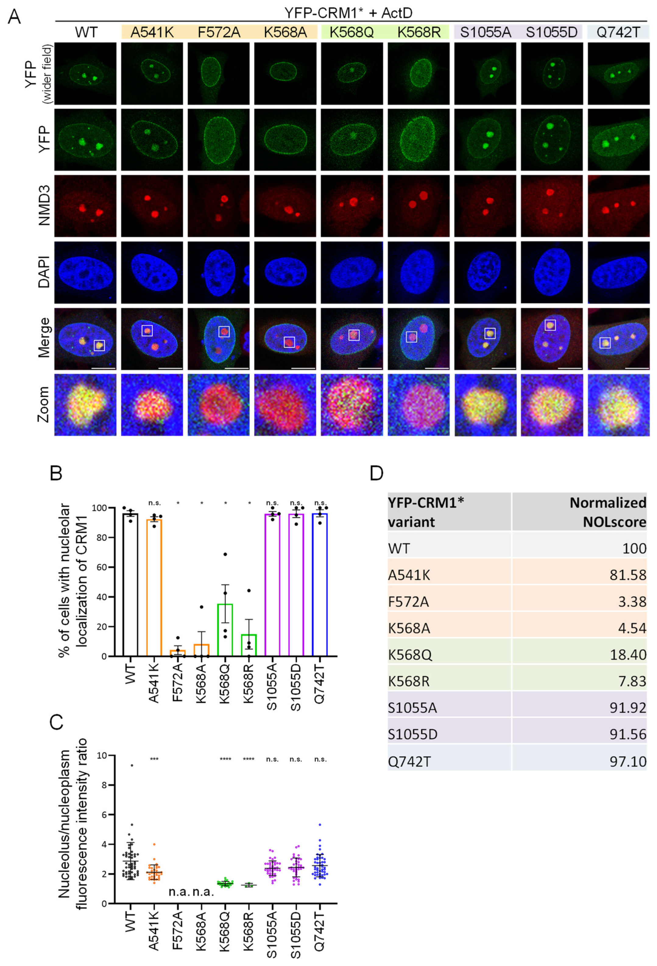 Biomolecules 14 01578 g004