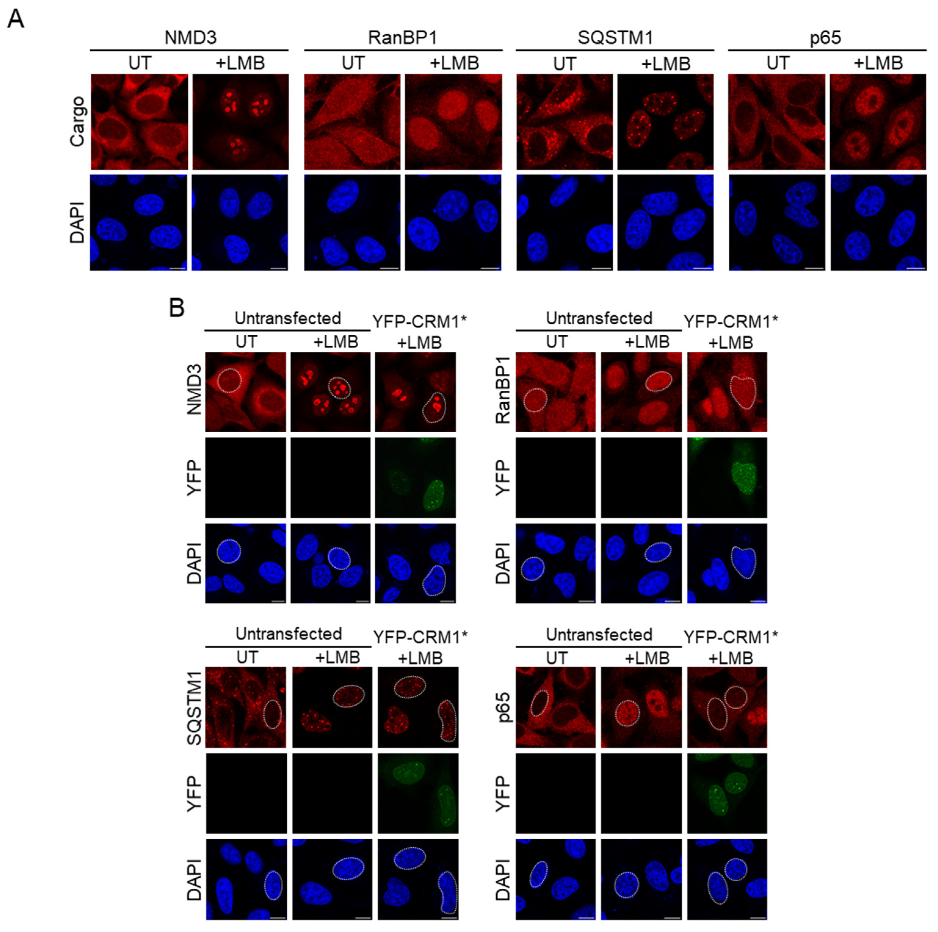 Biomolecules 14 01578 g005