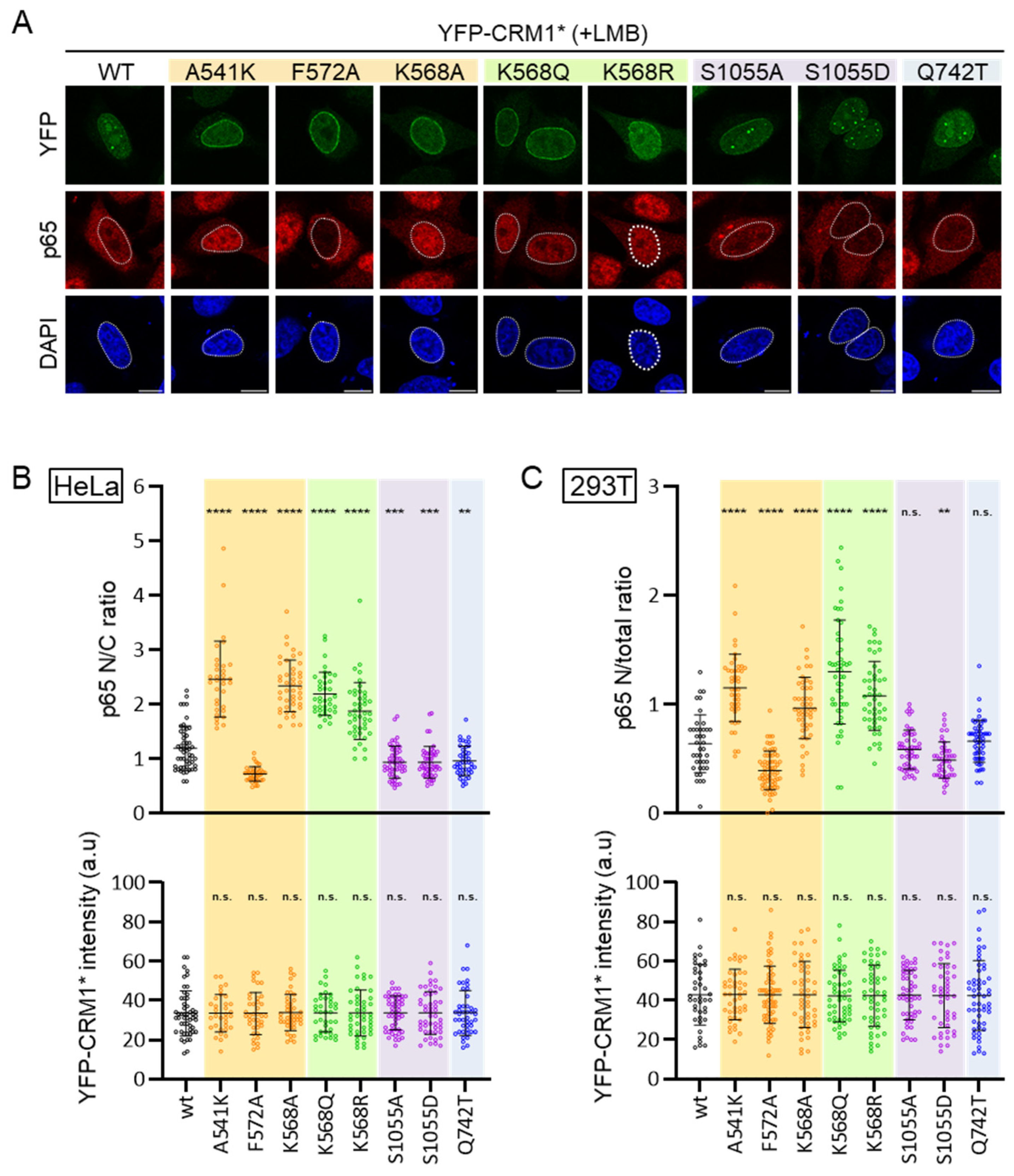 Biomolecules 14 01578 g007