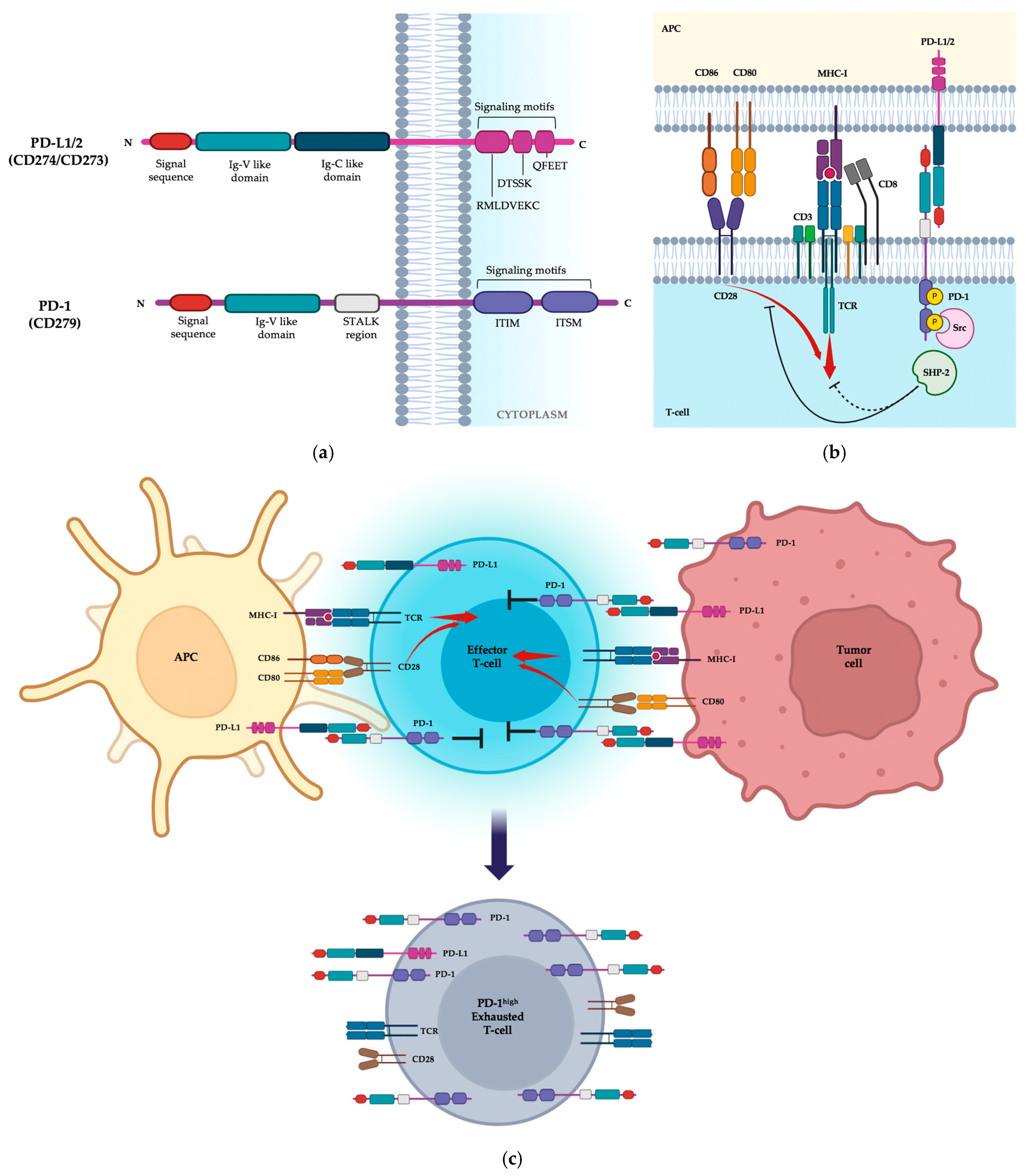 Biomolecules 14 01581 g002
