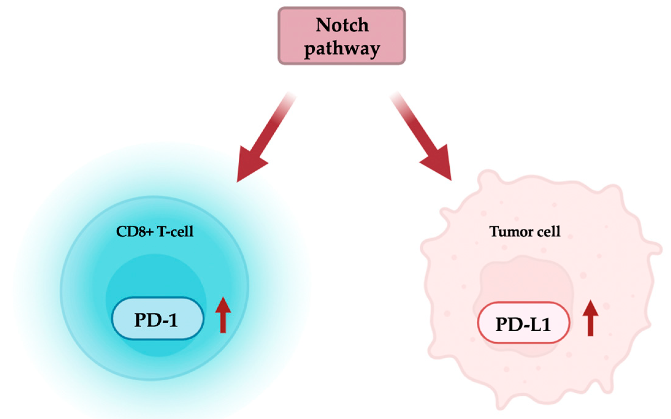 Biomolecules 14 01581 g003