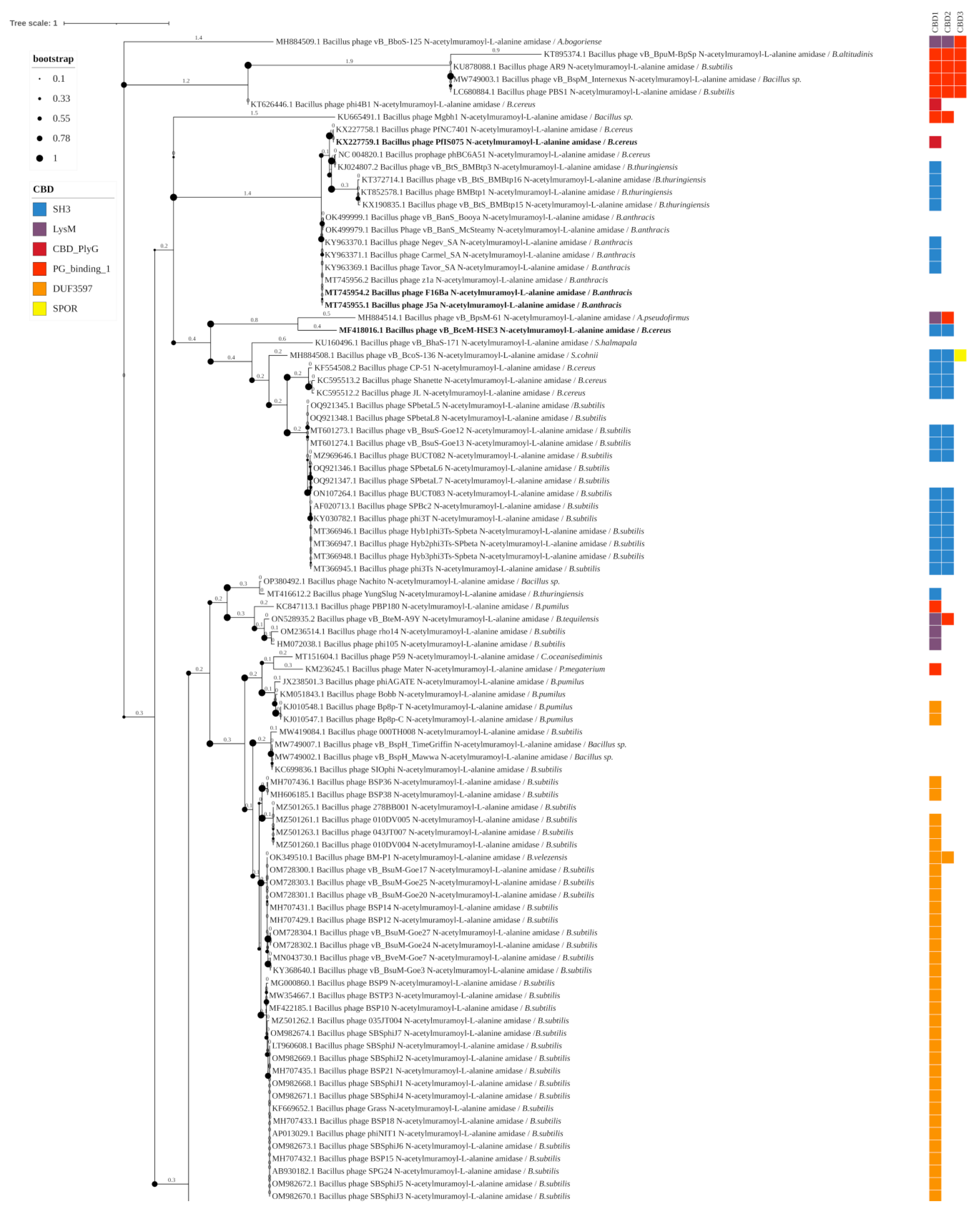 Biomolecules 14 01586 g003a