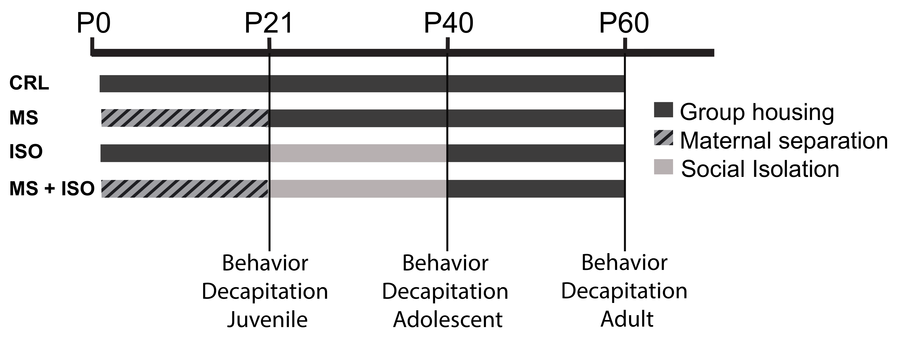 Biomolecules 14 01587 g001