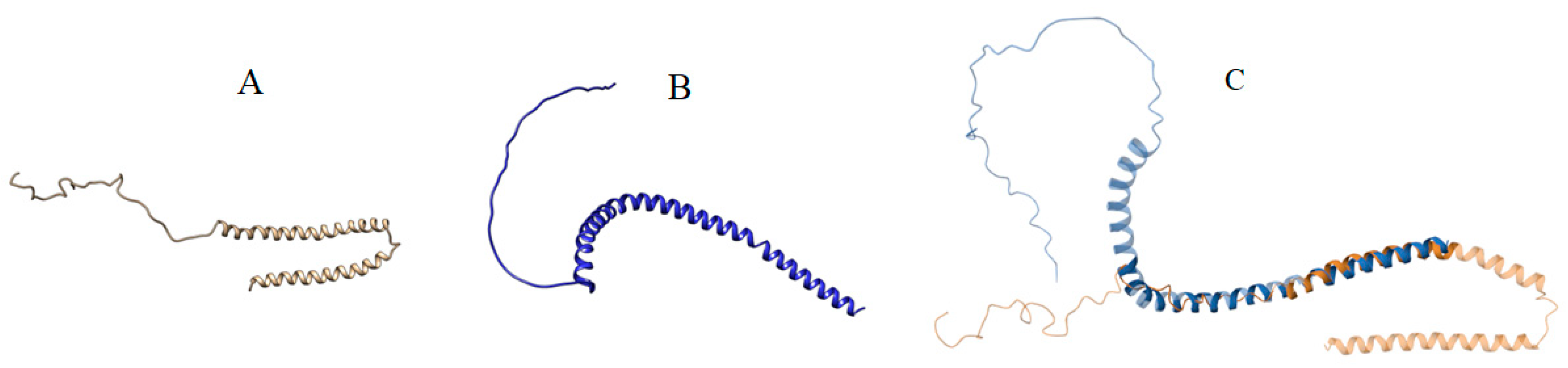 Biomolecules 14 01588 g006