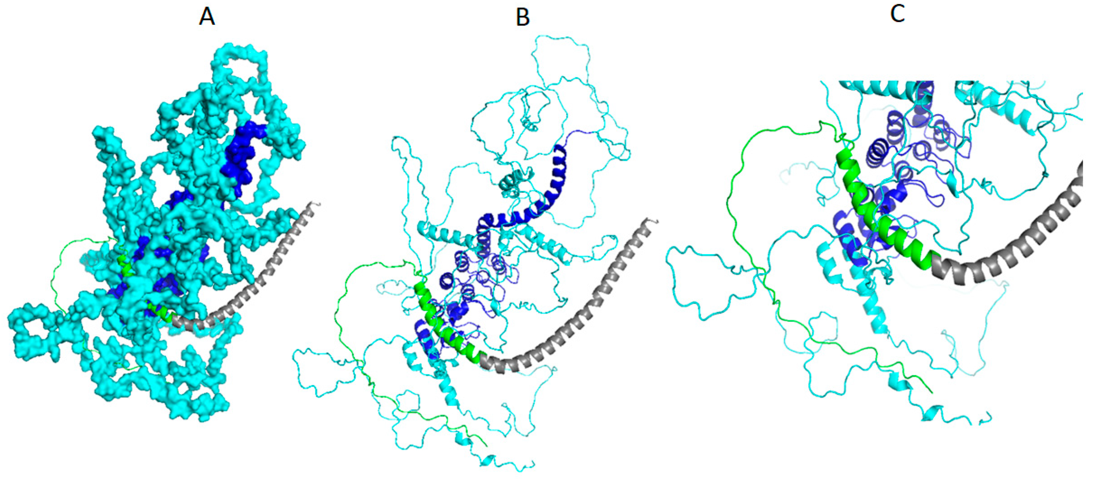 Biomolecules 14 01588 g007
