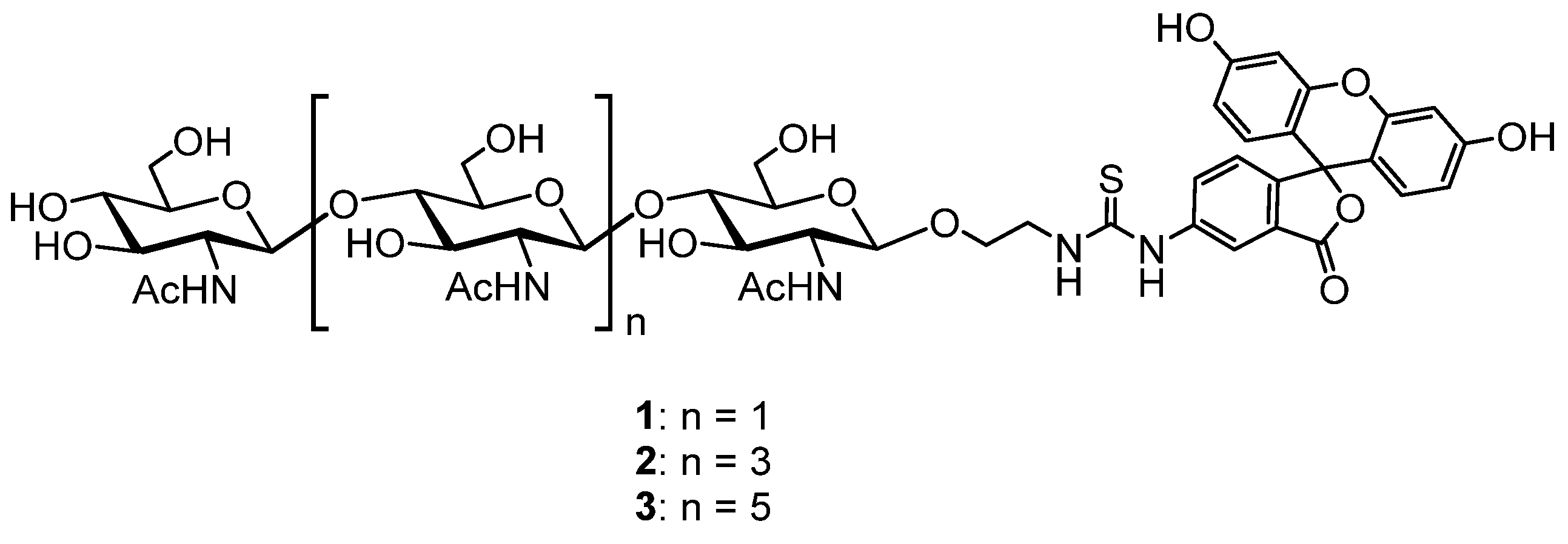 Biomolecules 14 01589 g001