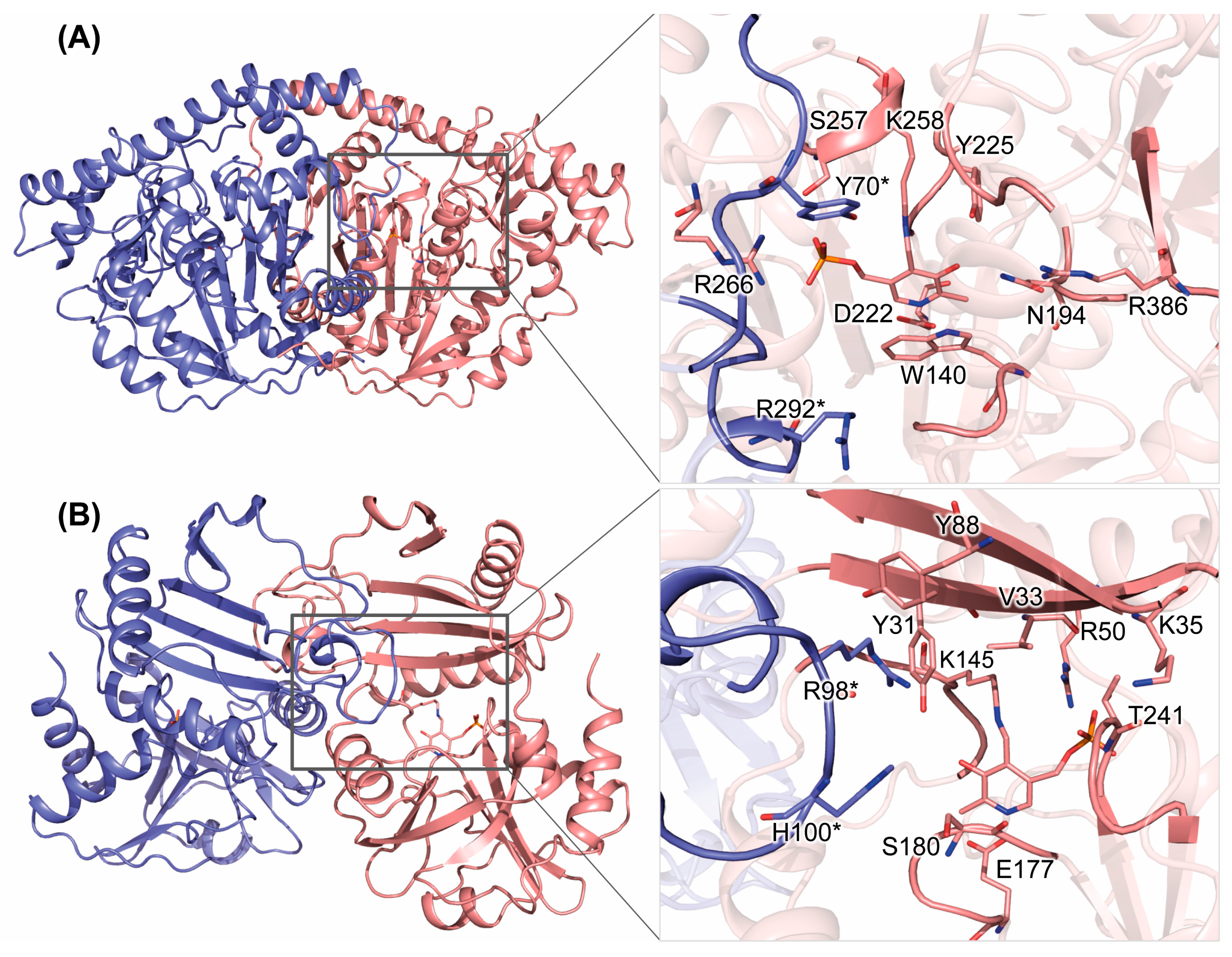 Biomolecules 14 01591 g001