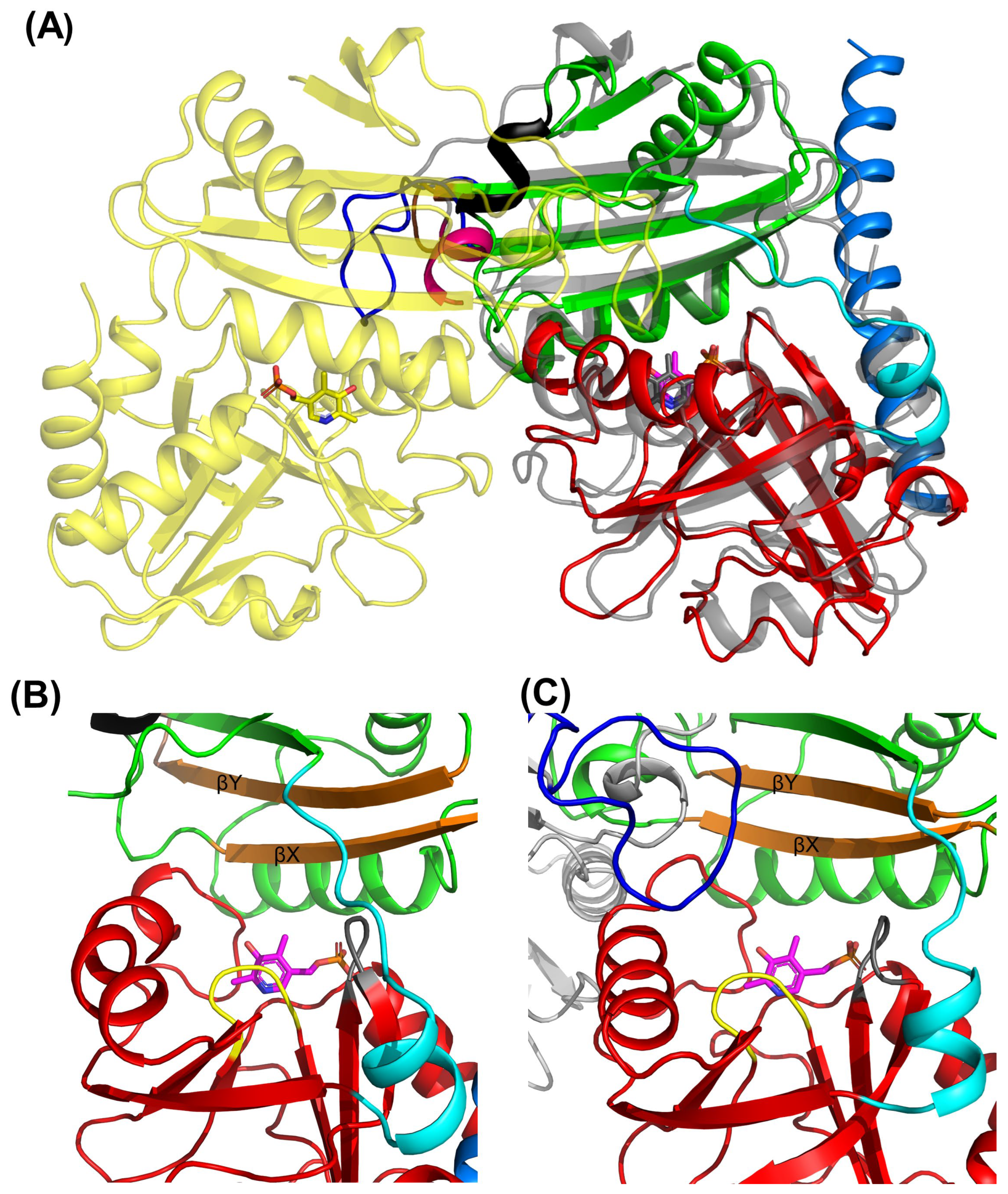 Biomolecules 14 01591 g003