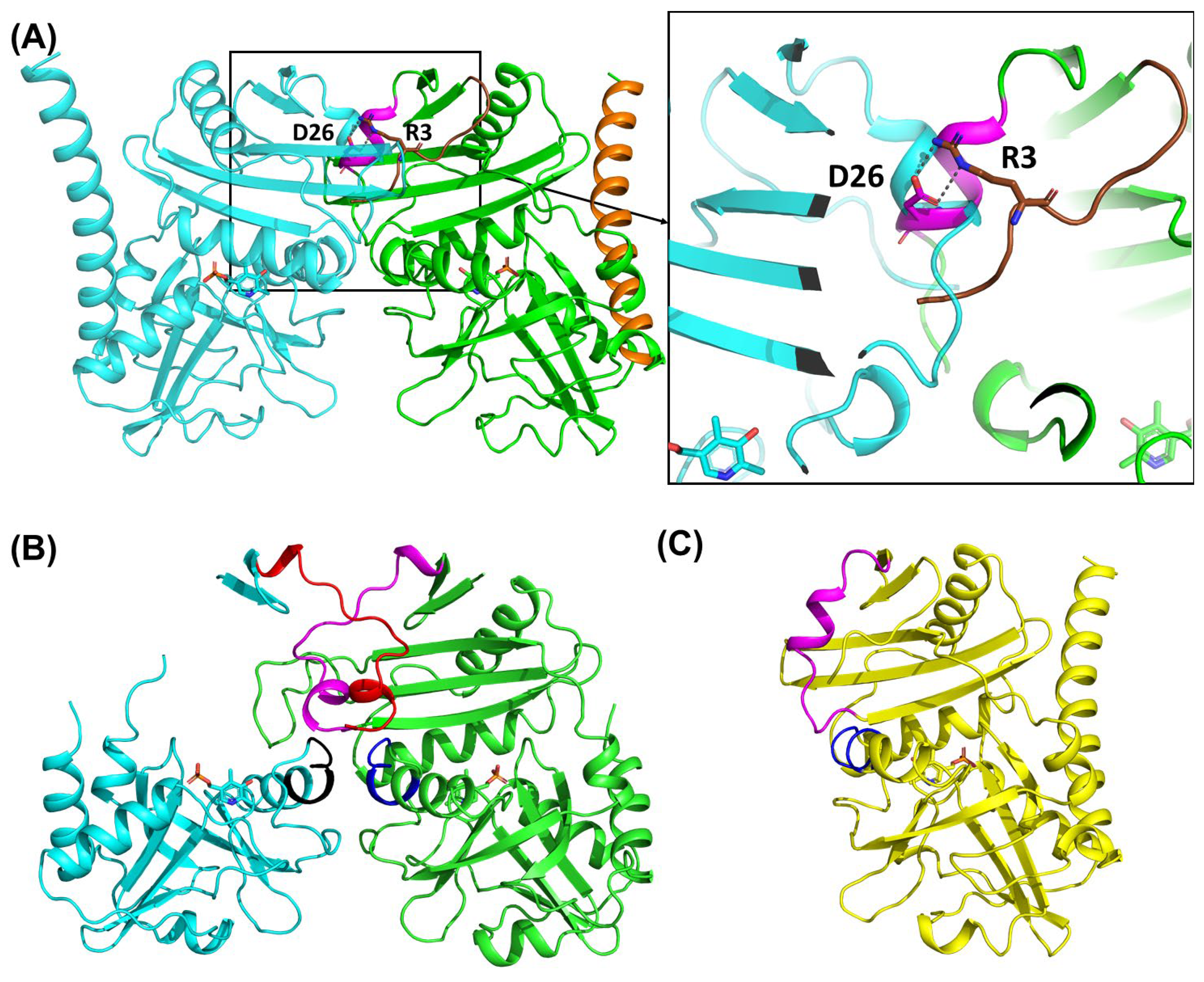 Biomolecules 14 01591 g004