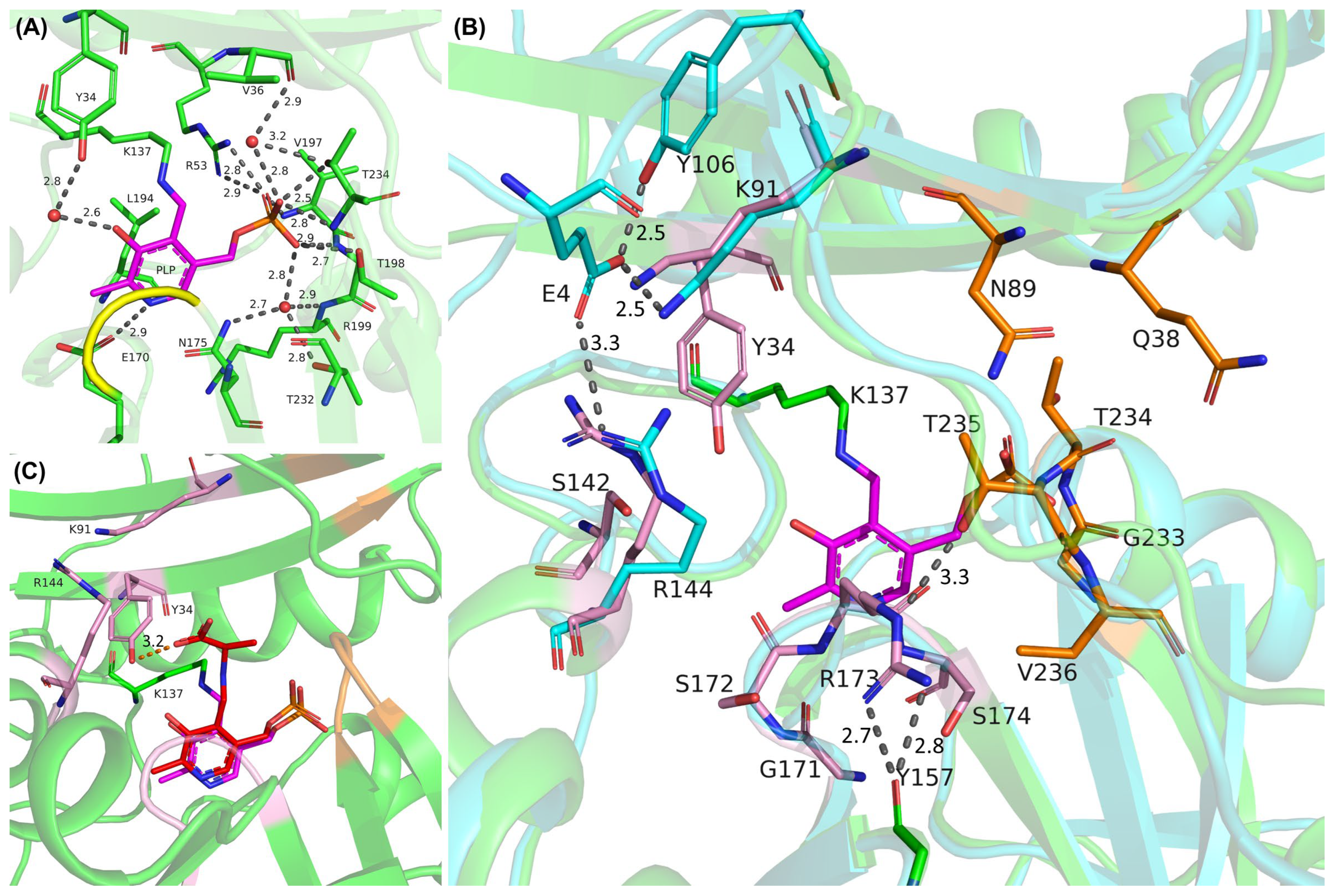 Biomolecules 14 01591 g006