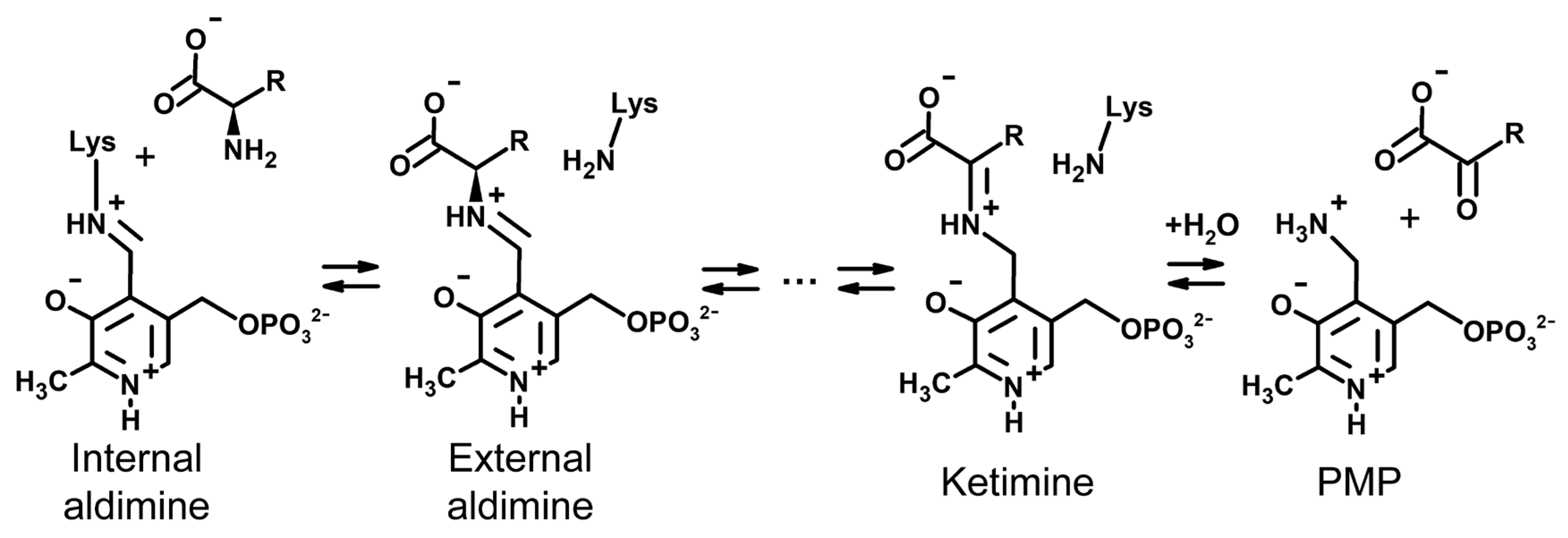 Biomolecules 14 01591 sch001