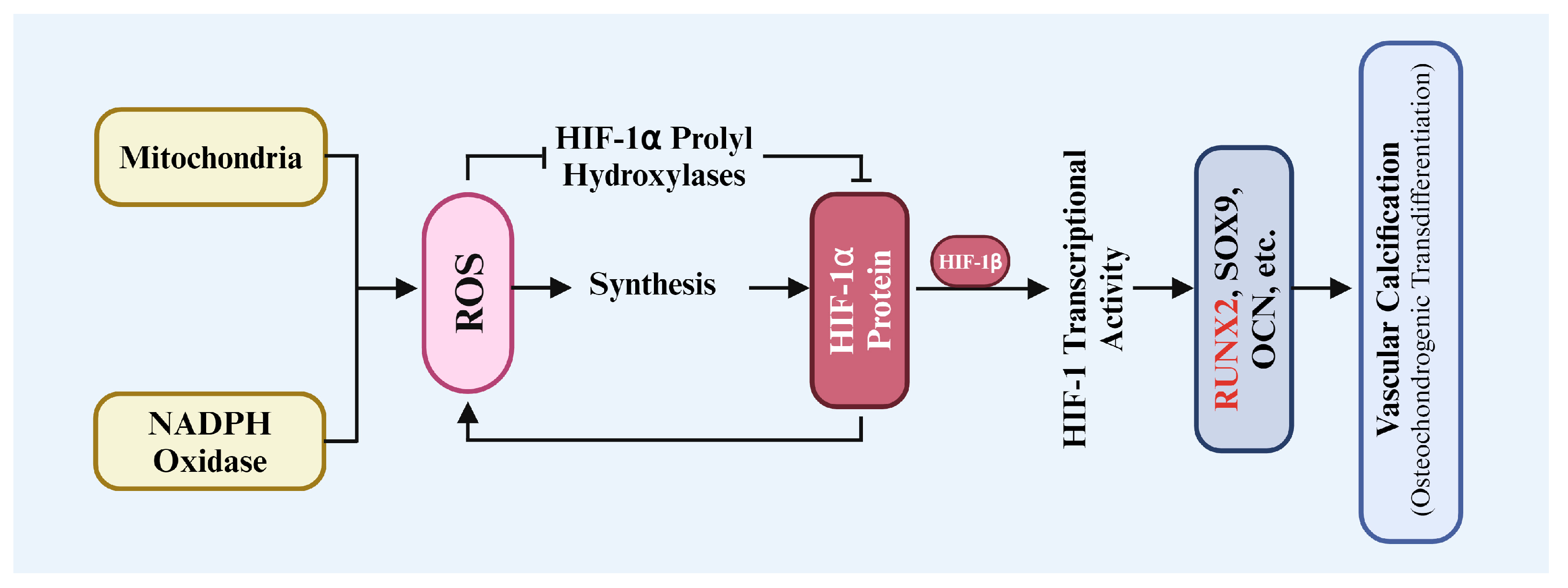 Biomolecules 14 01592 g002
