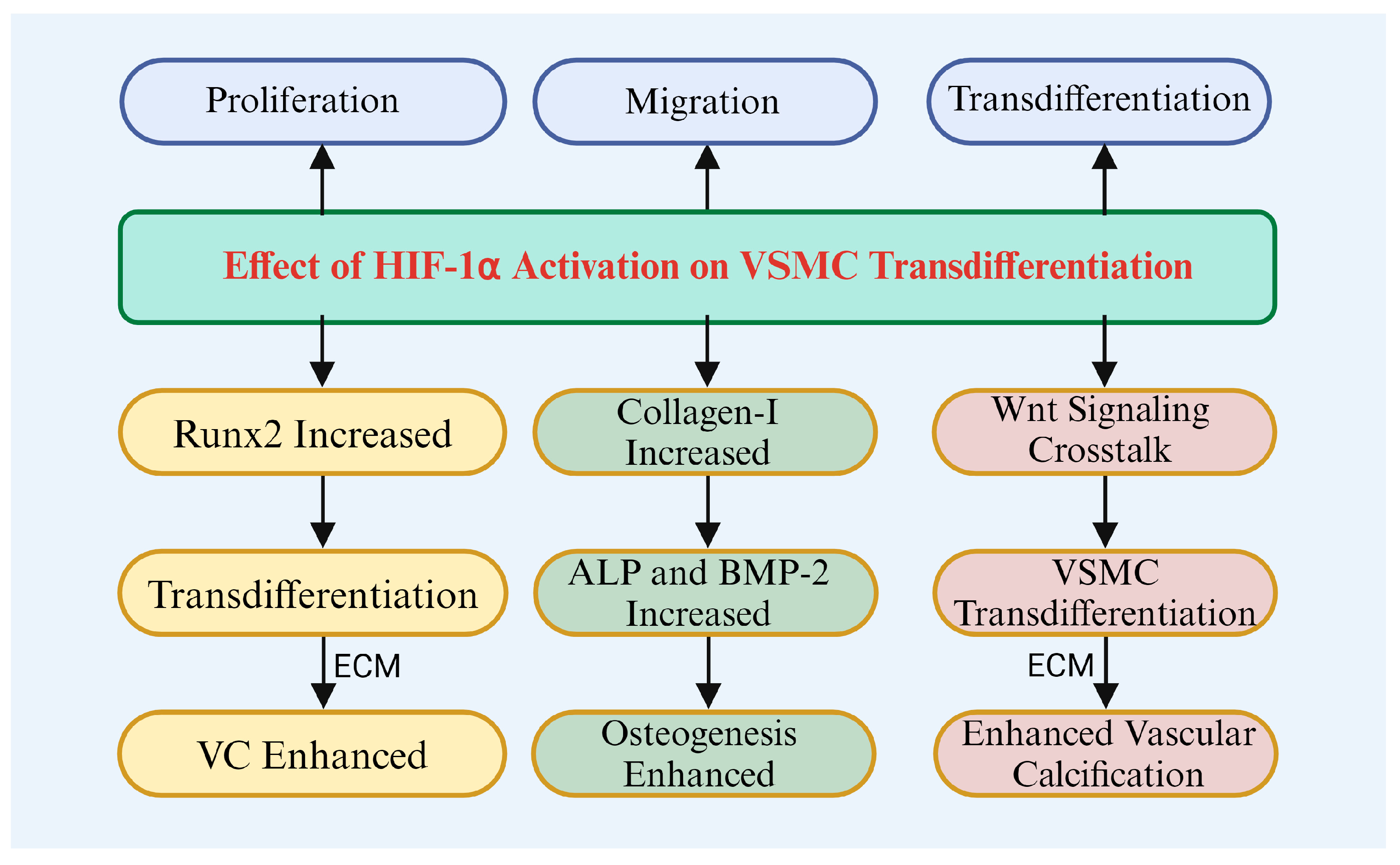 Biomolecules 14 01592 g003