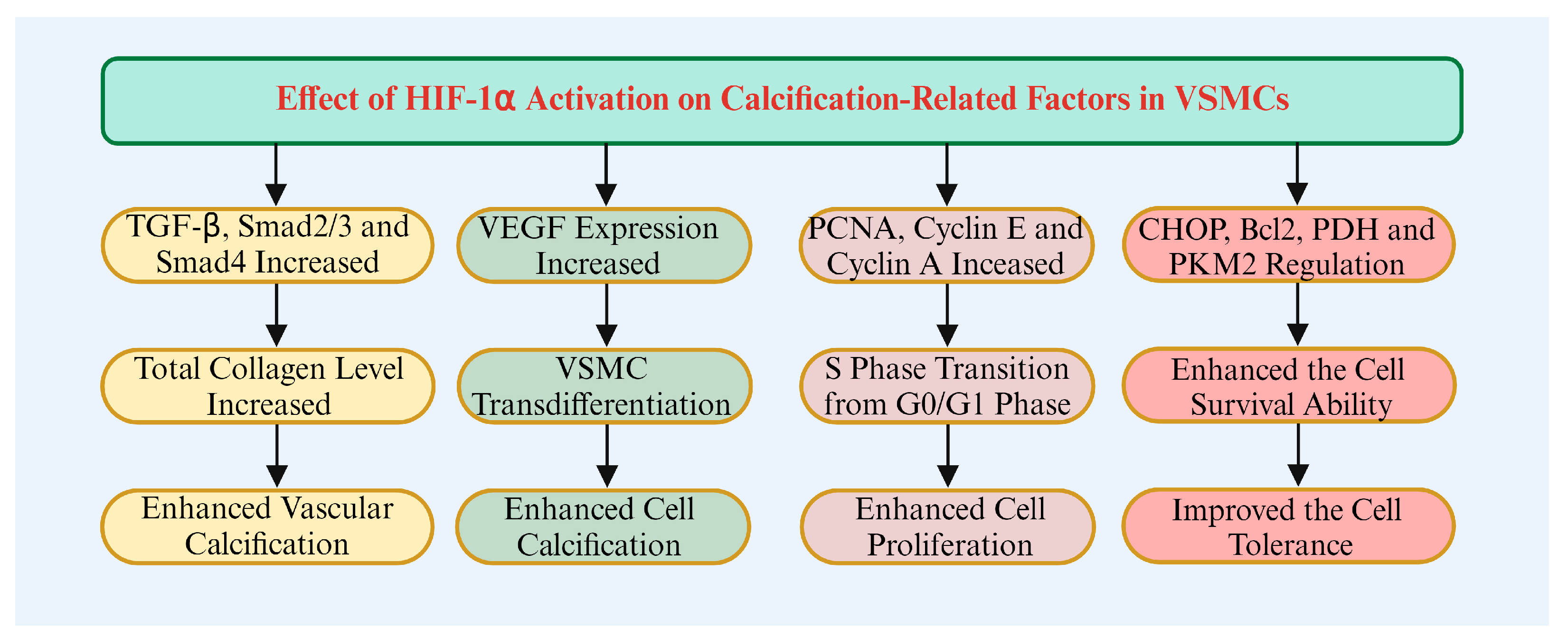 Biomolecules 14 01592 g004