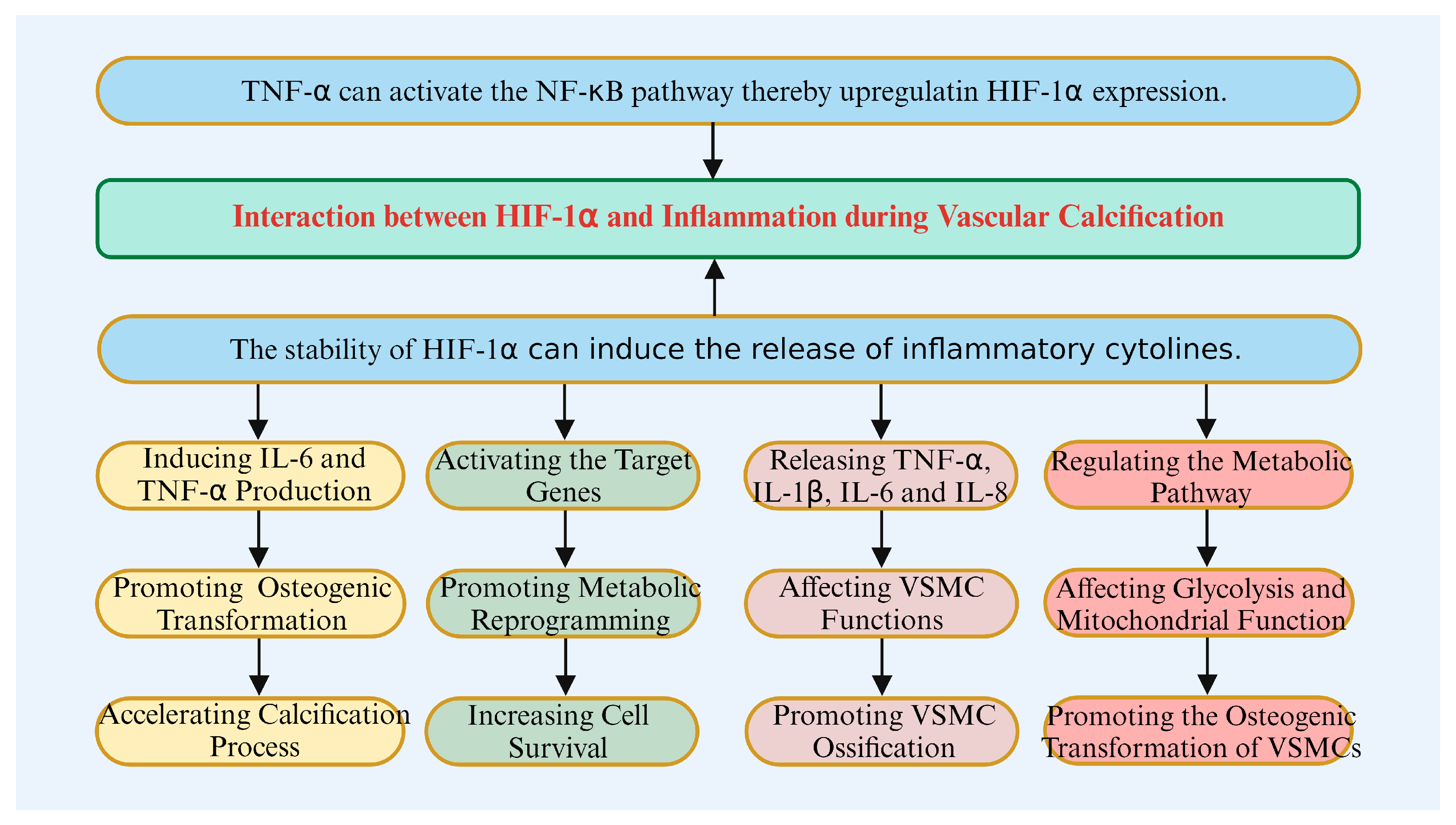 Biomolecules 14 01592 g005