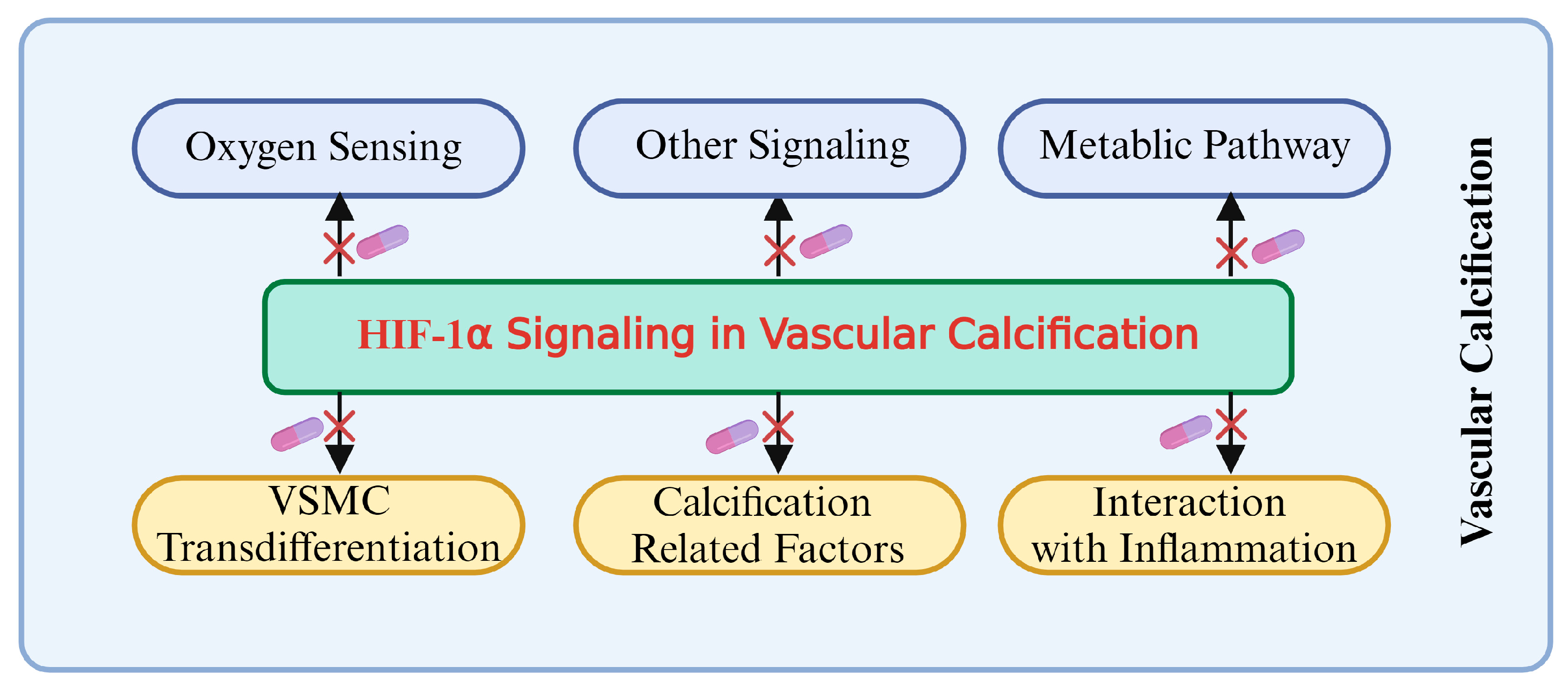 Biomolecules 14 01592 g009
