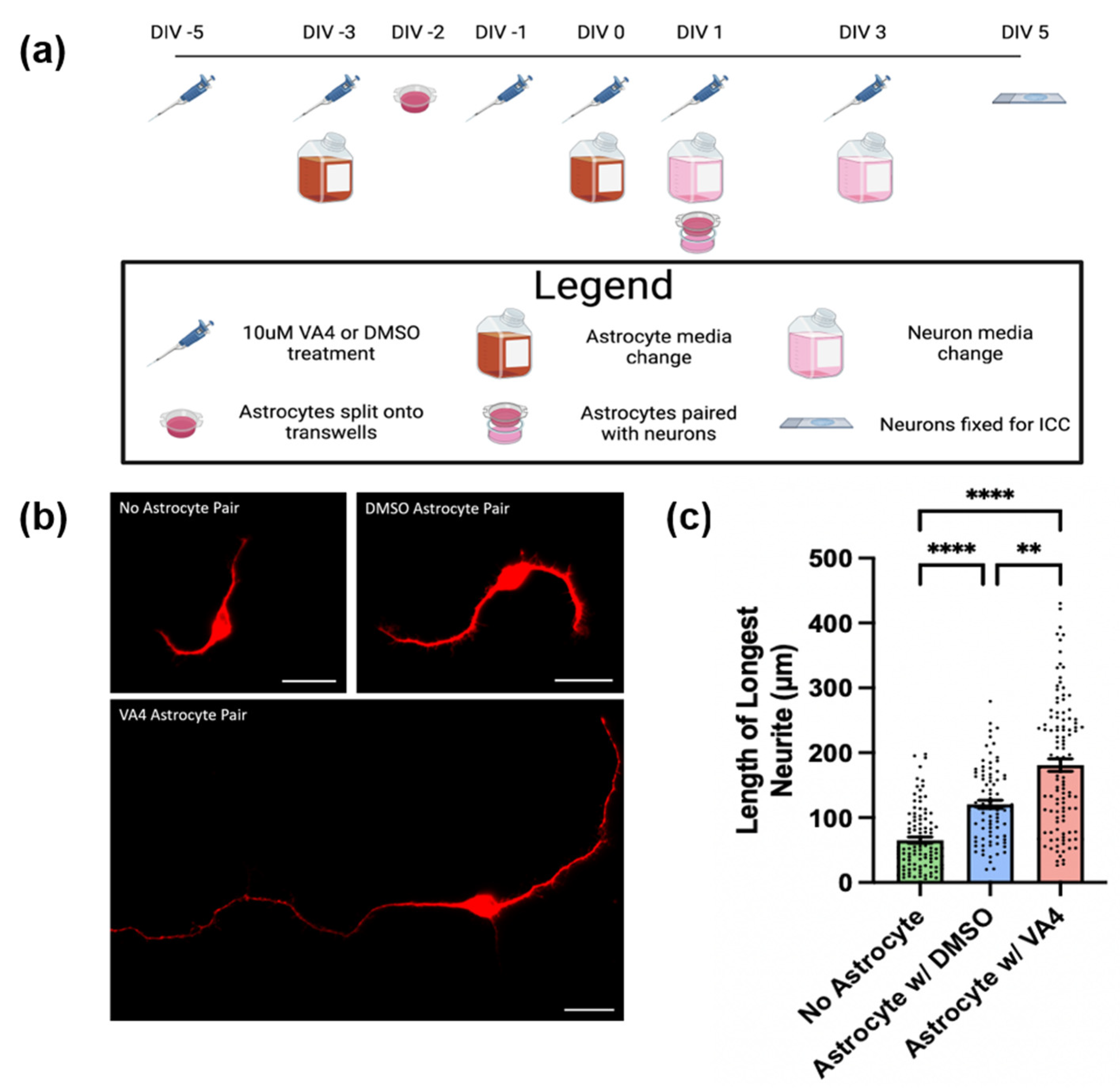 Biomolecules 14 01594 g001 Biomolecules 14 01594 g001