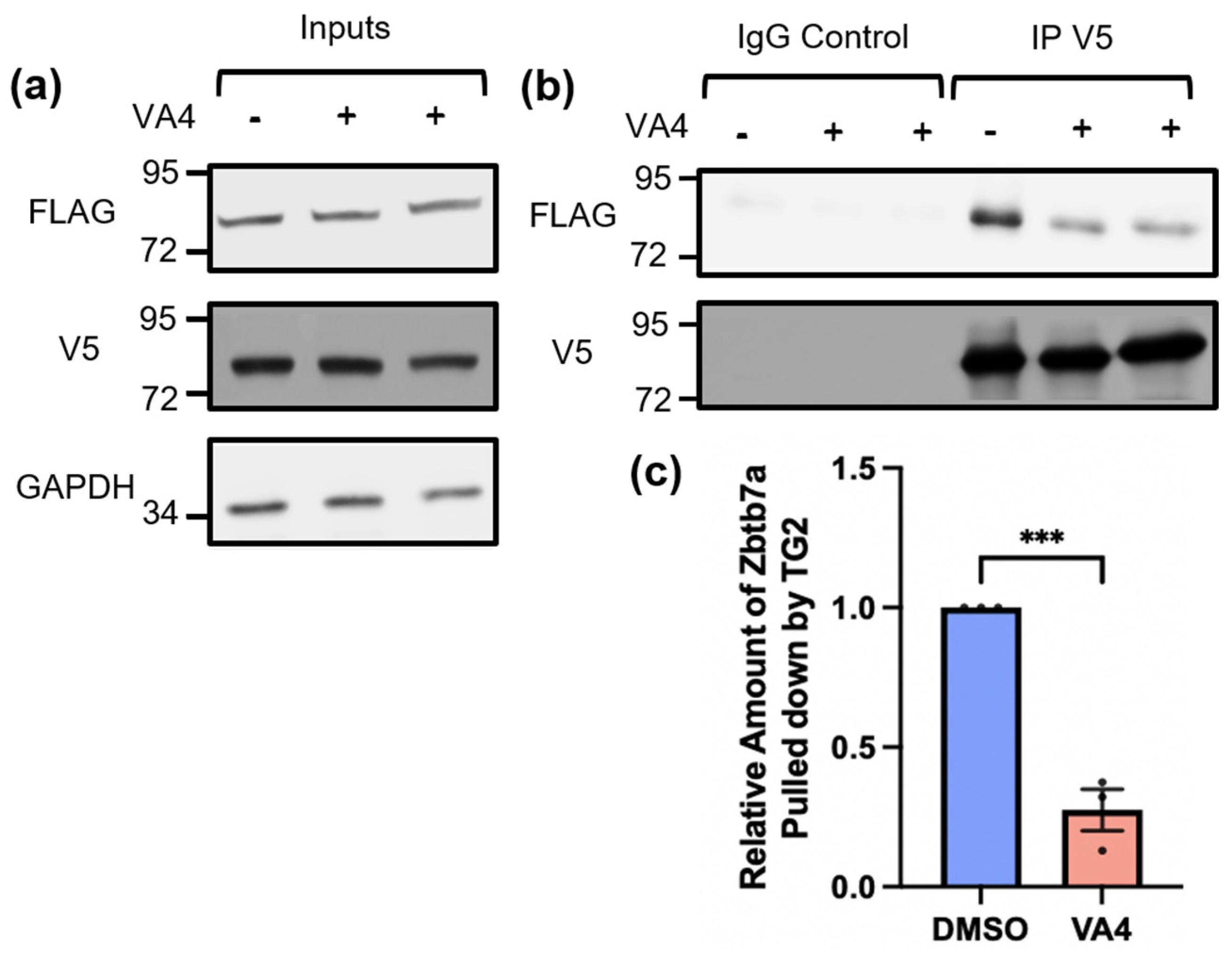 Biomolecules 14 01594 g002 Biomolecules 14 01594 g002