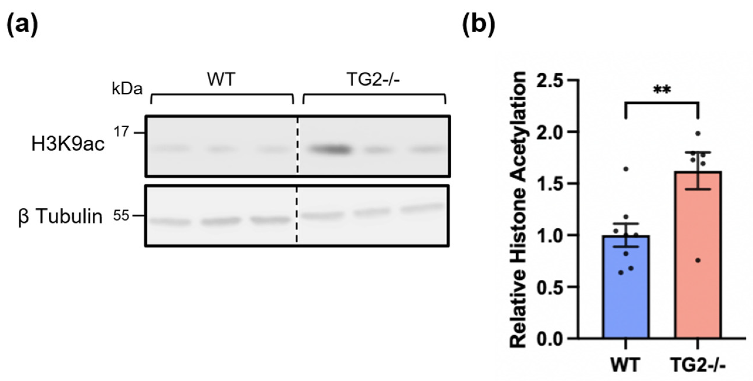 Biomolecules 14 01594 g003 Biomolecules 14 01594 g003