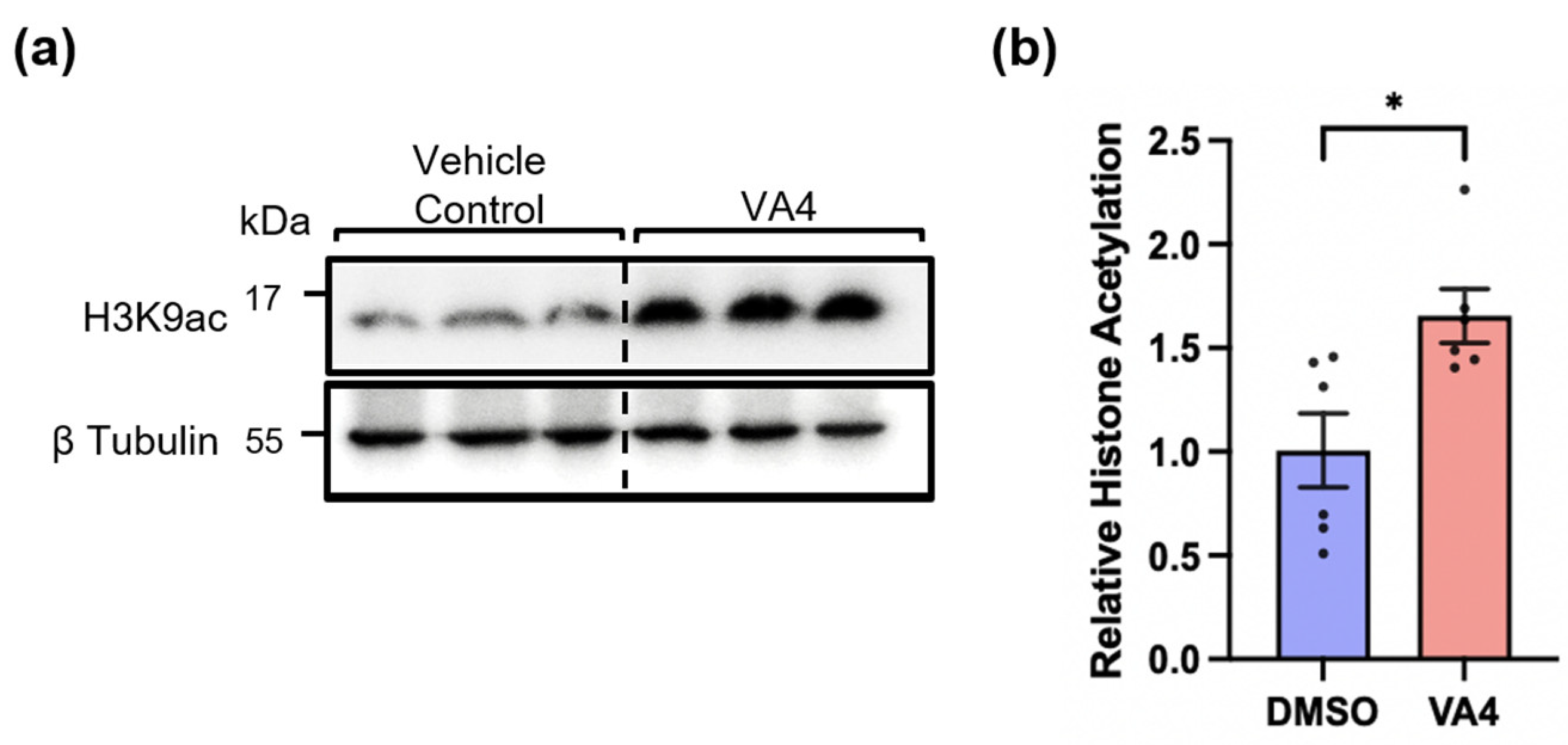 Biomolecules 14 01594 g004 Biomolecules 14 01594 g004
