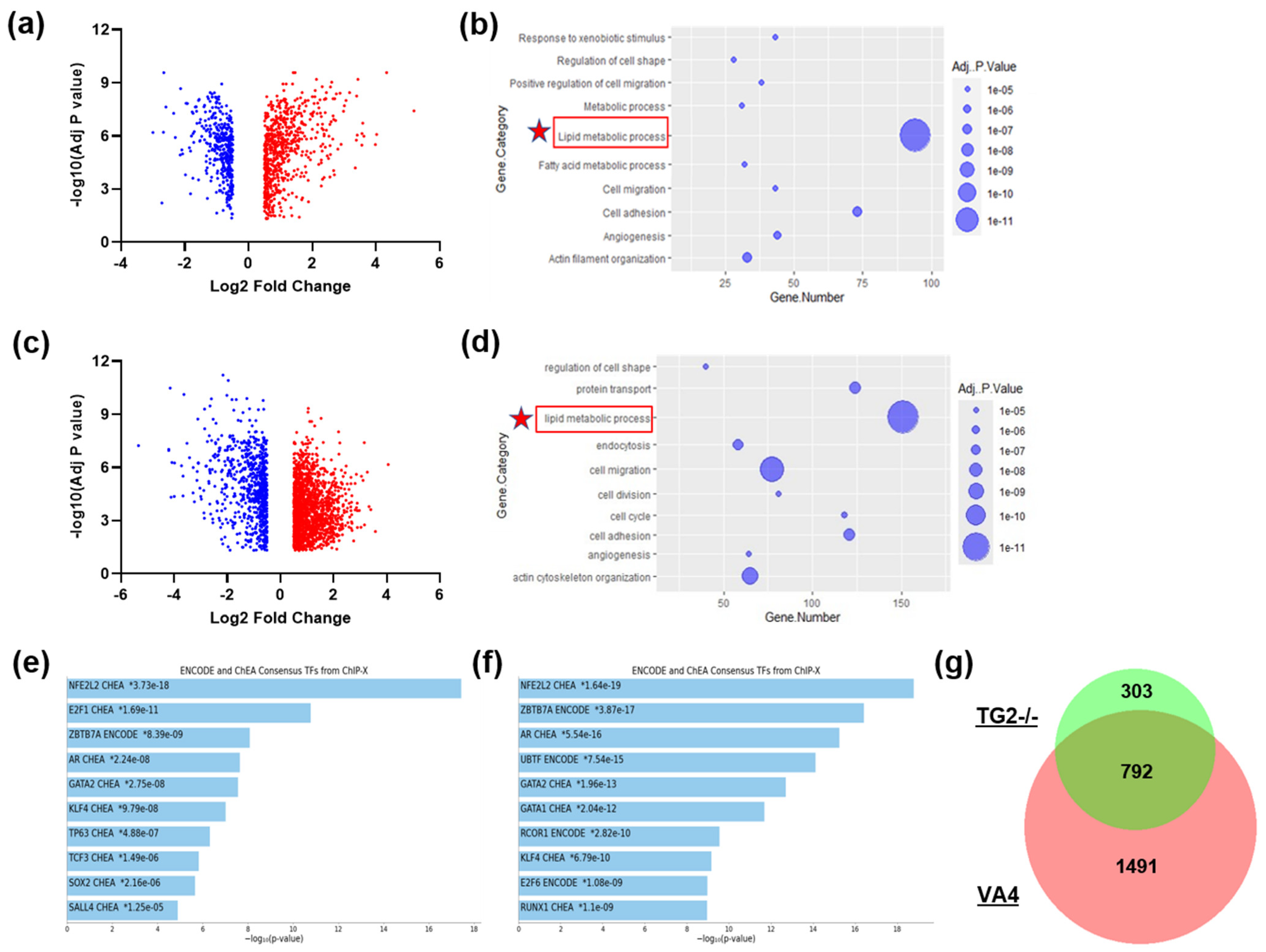 Biomolecules 14 01594 g005 Biomolecules 14 01594 g005