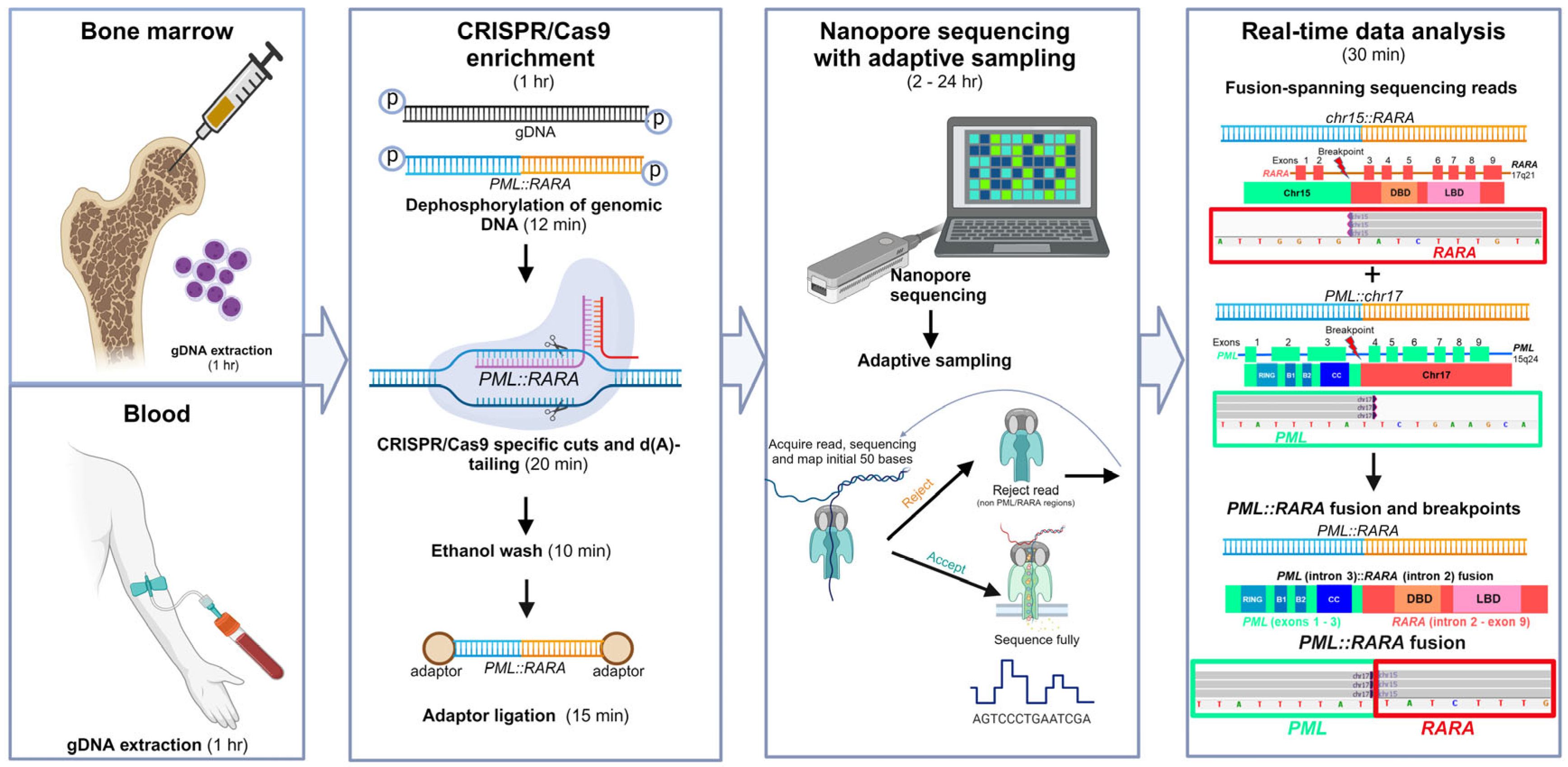 Biomolecules 14 01595 g001
