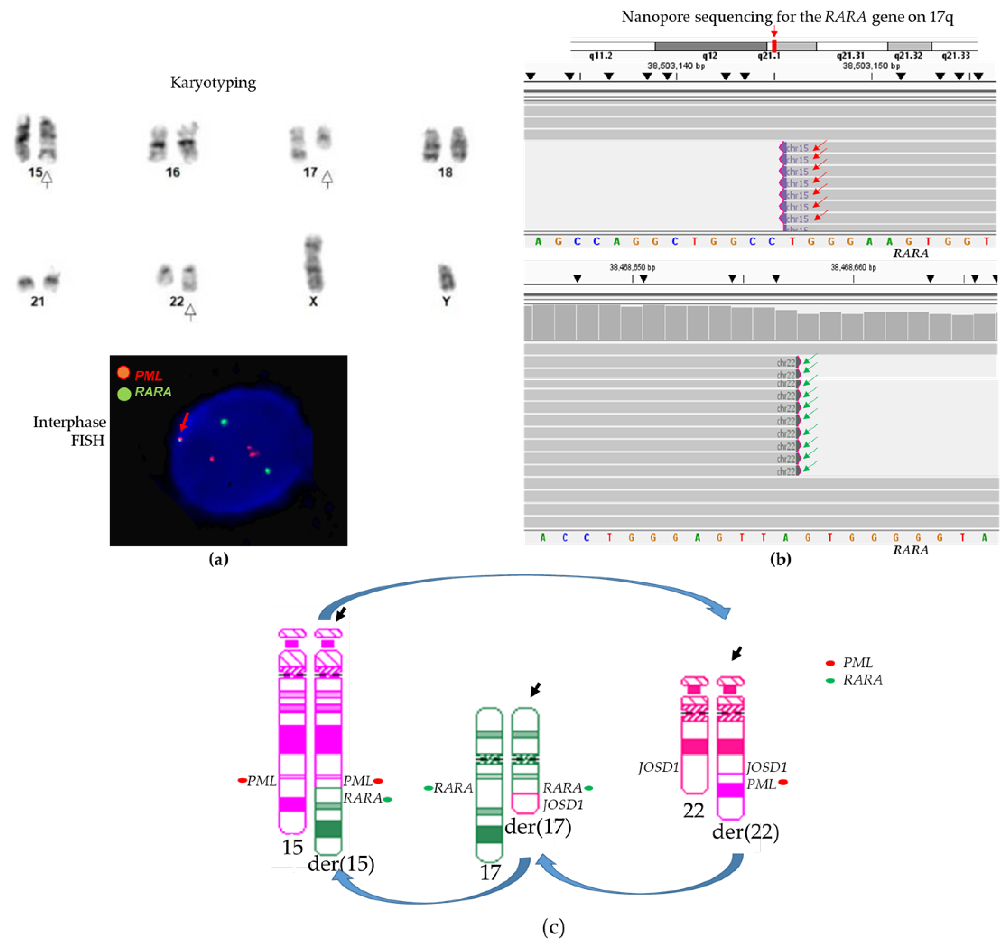 Biomolecules 14 01595 g002