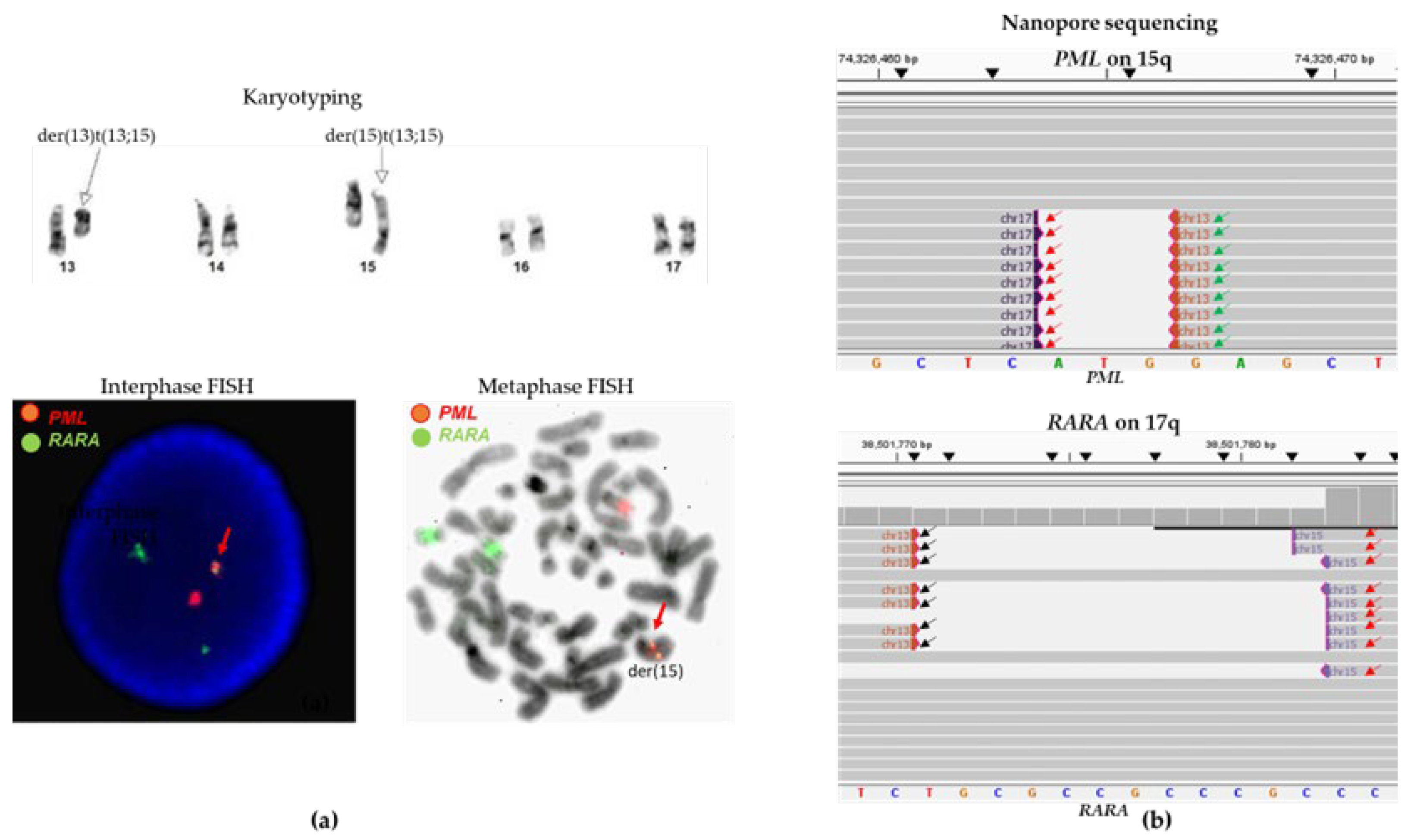Biomolecules 14 01595 g003
