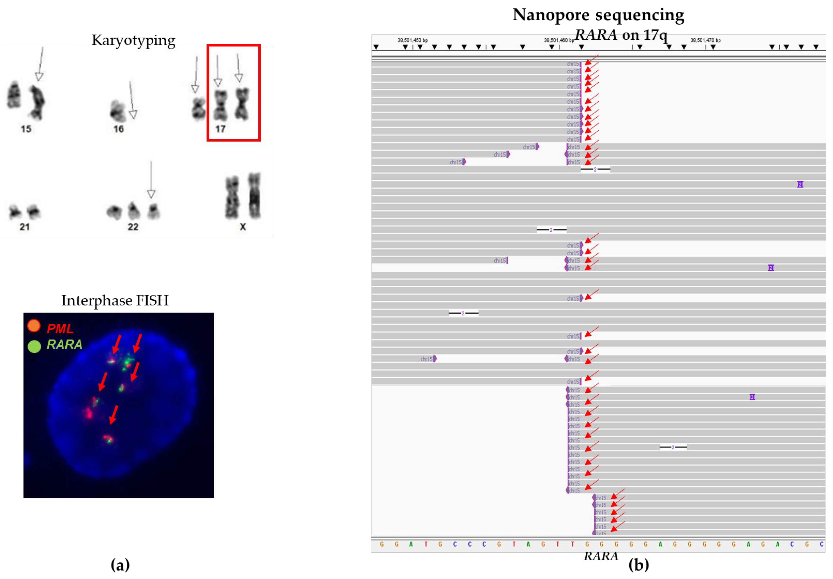 Biomolecules 14 01595 g005