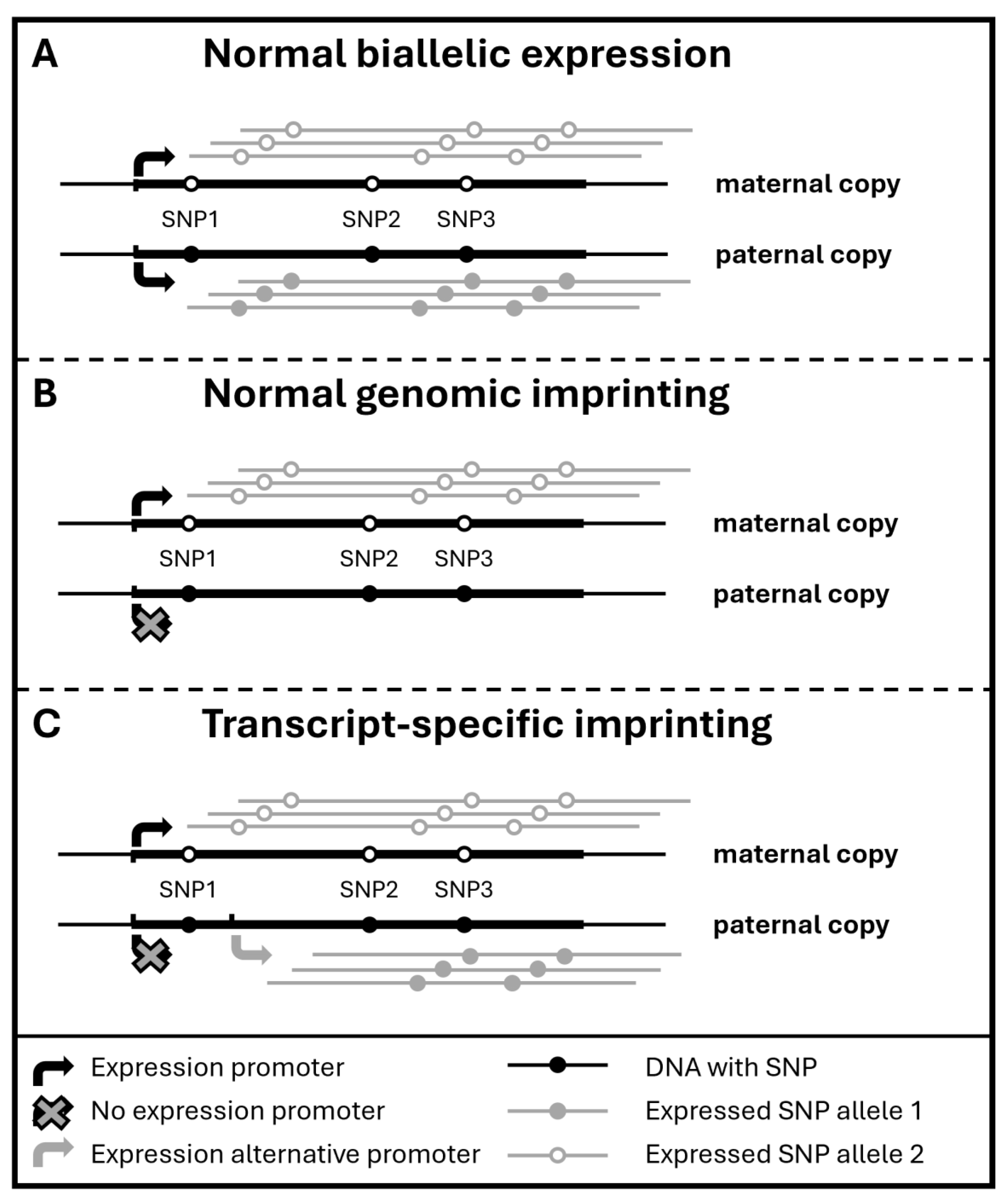 Biomolecules 14 01598 g001