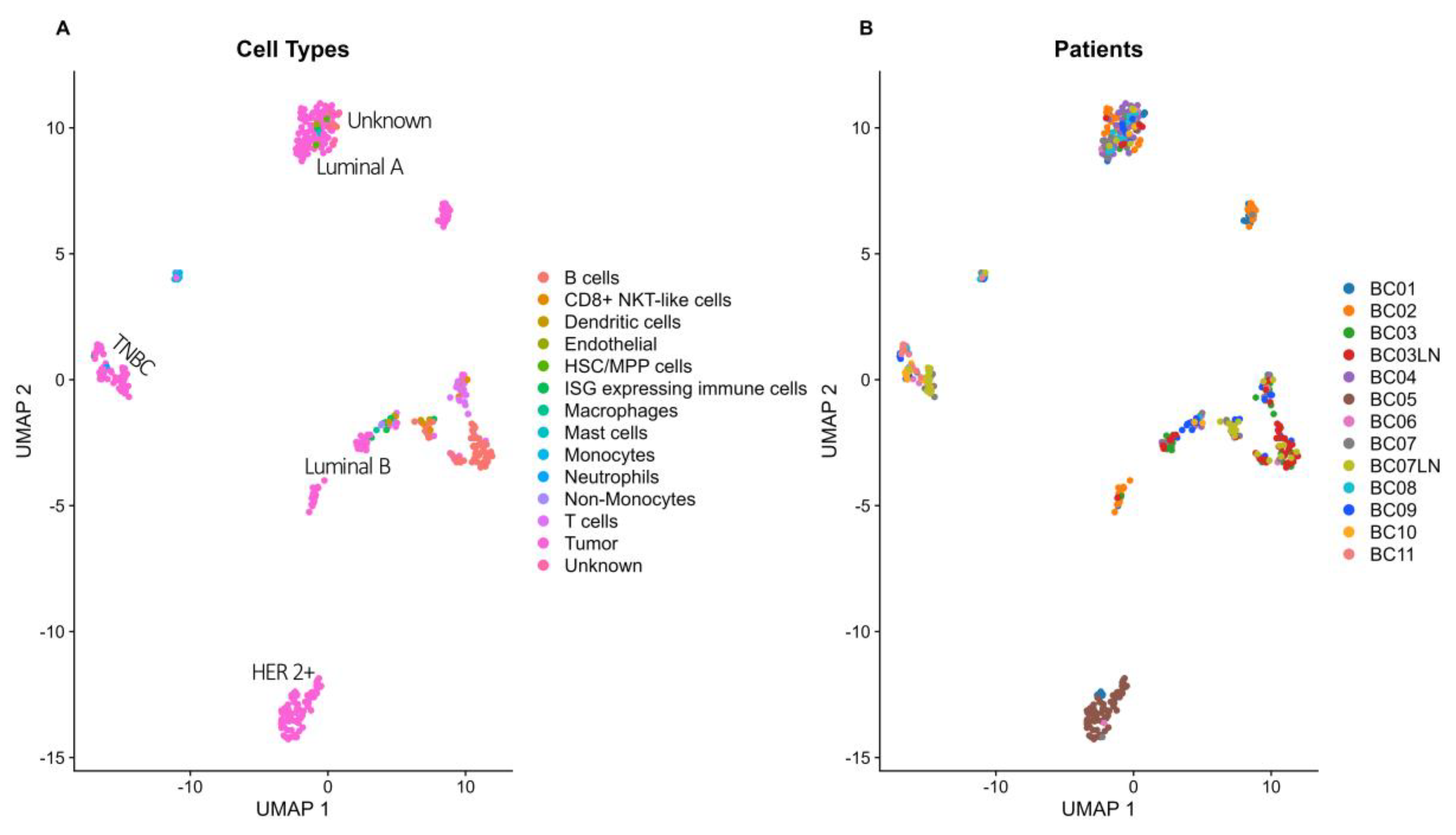 Biomolecules 14 01598 g004