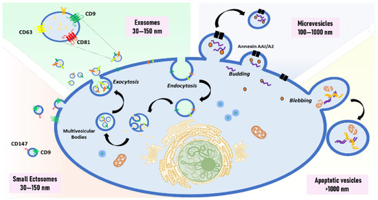 ん Hobbyboss 1/72 Soviet with R17 Rocket of 9K72 Missile