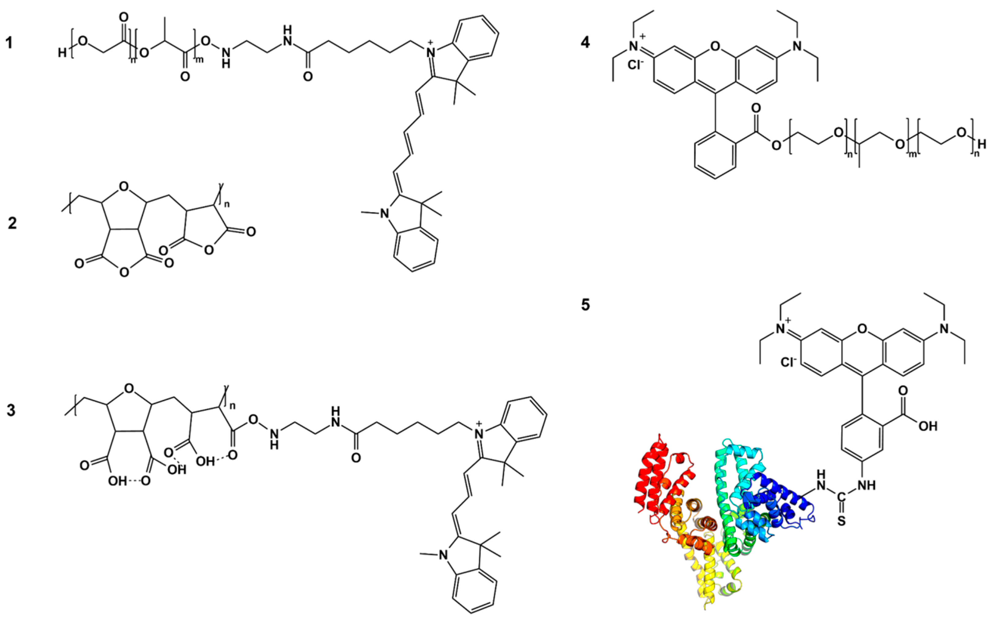 Biomolecules 14 01601 g001