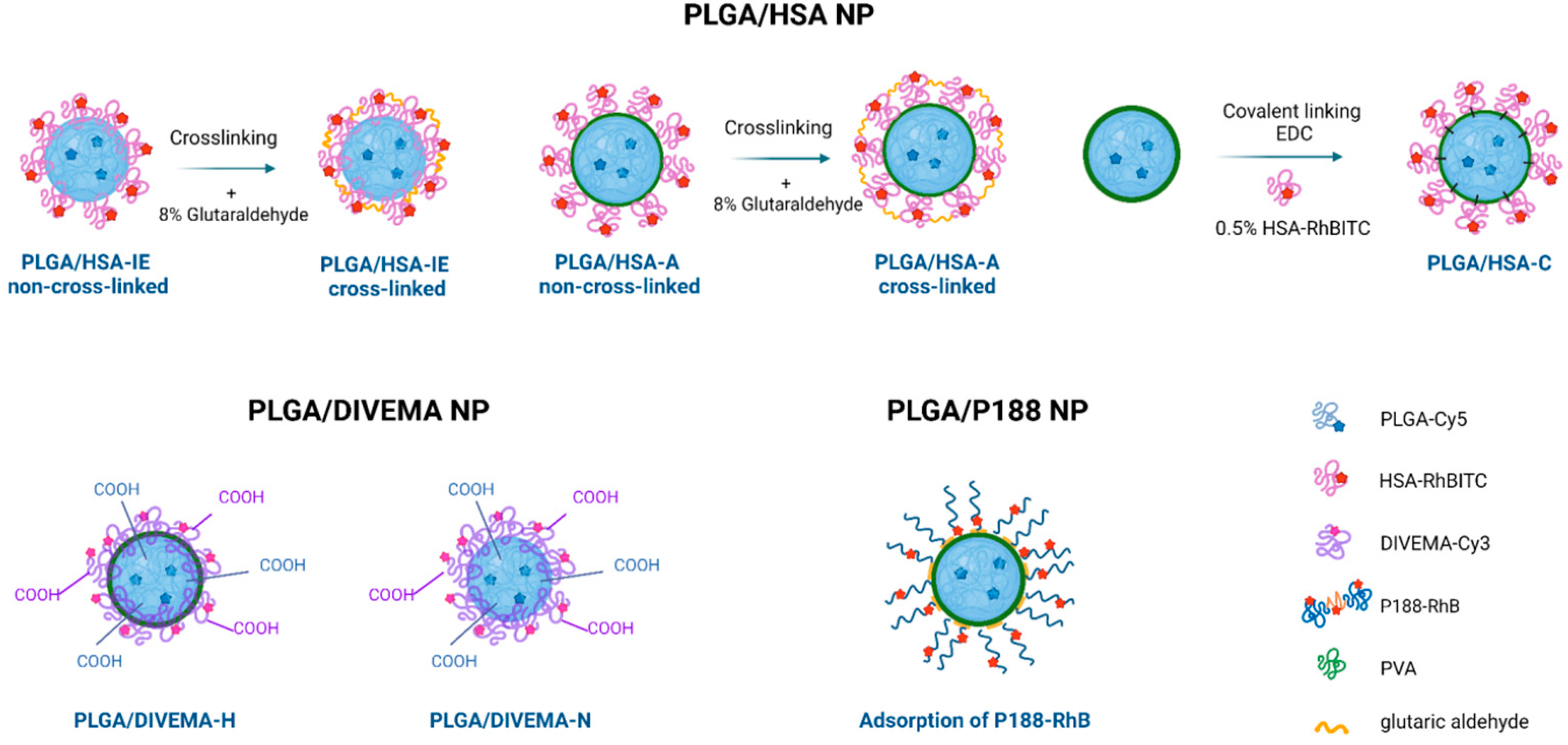 Biomolecules 14 01601 g002