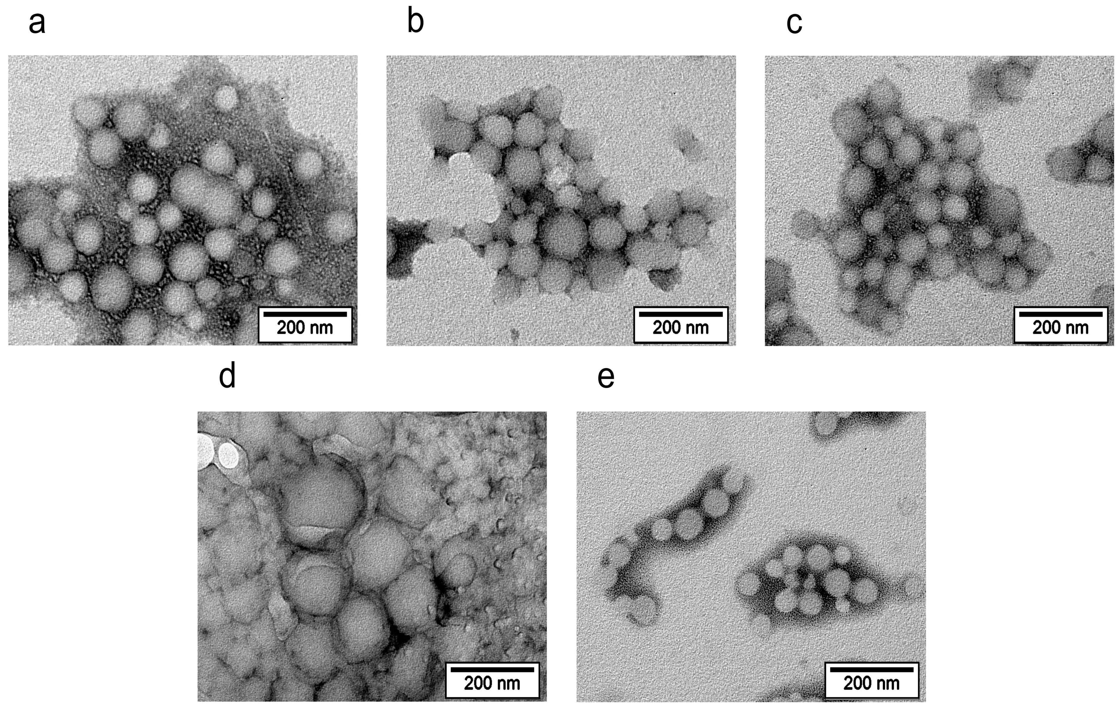 Biomolecules 14 01601 g003